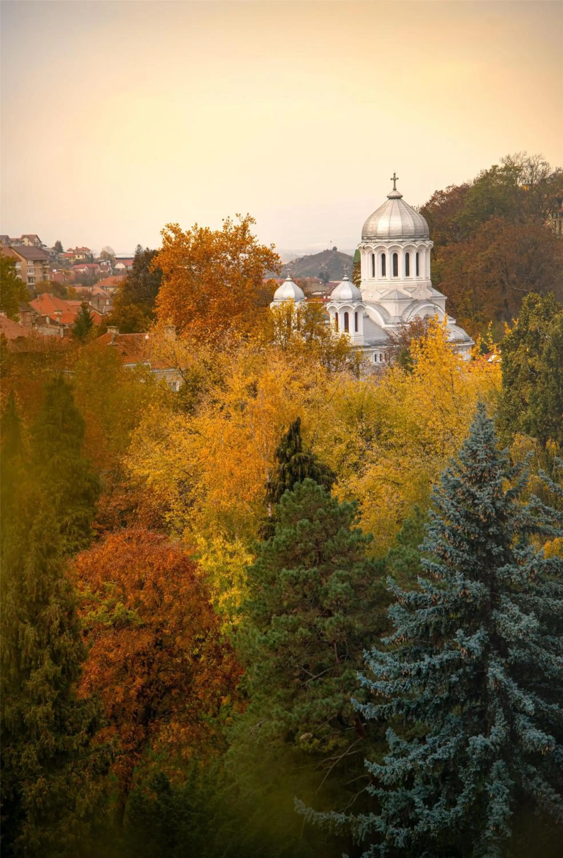 Lounge or bar in Radisson Blu Aurum Hotel, Brasov
