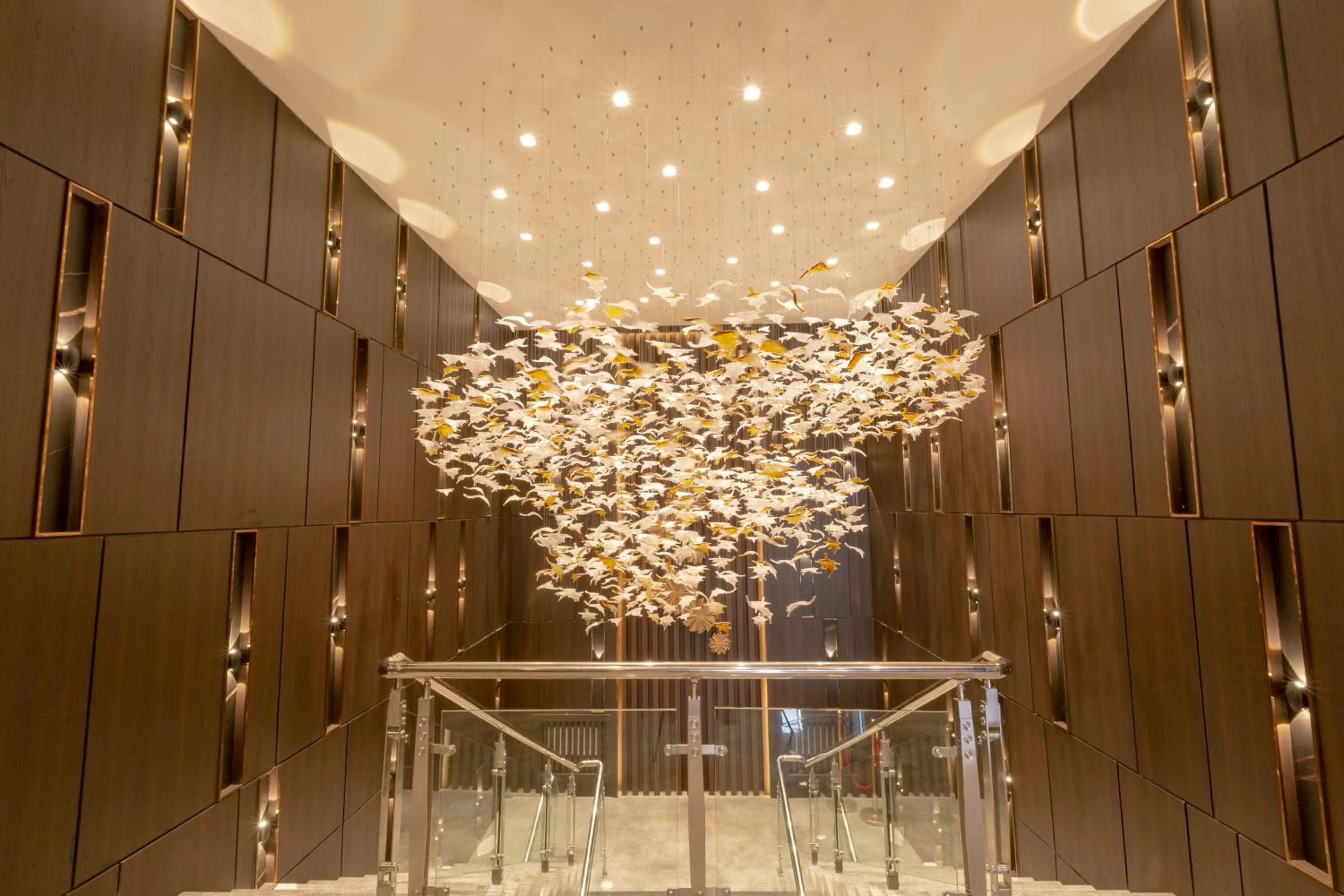 Entertainment in MIllennium Plaza Hotel & Mall Ulaanbaatar