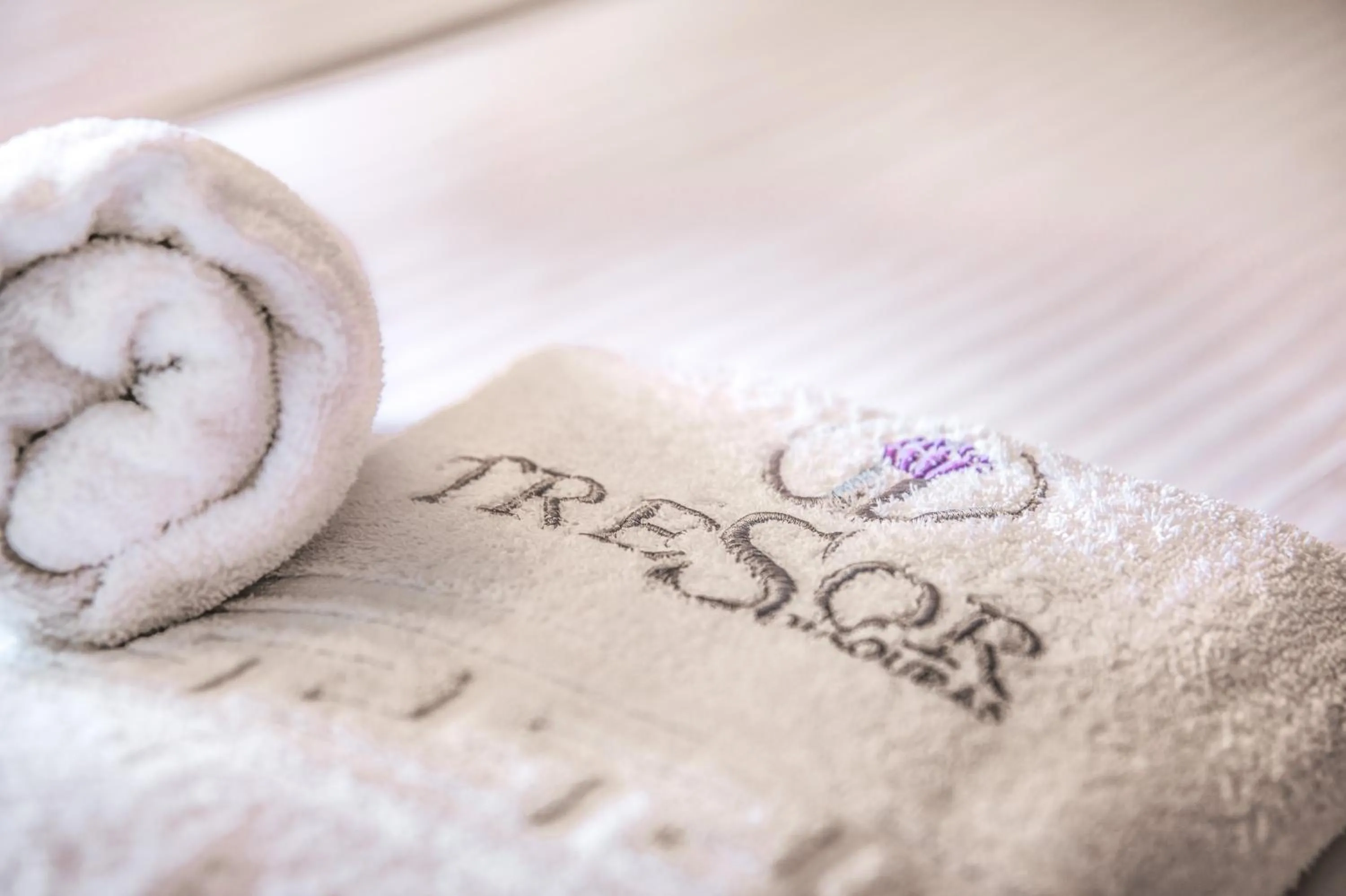 Property logo or sign in Tresor Sousouras