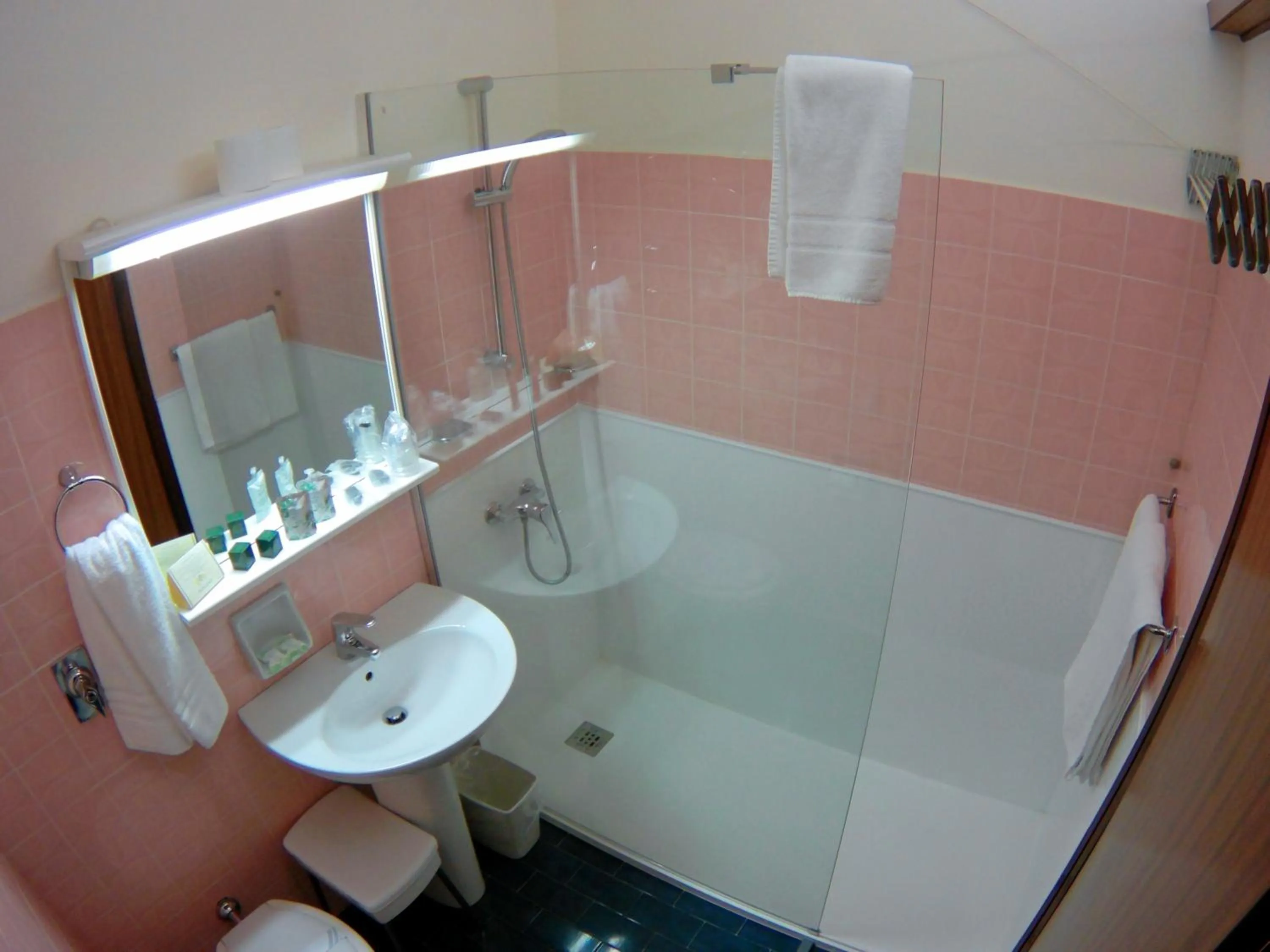 Shower in Albergo Residence Italia Vintage Hotel