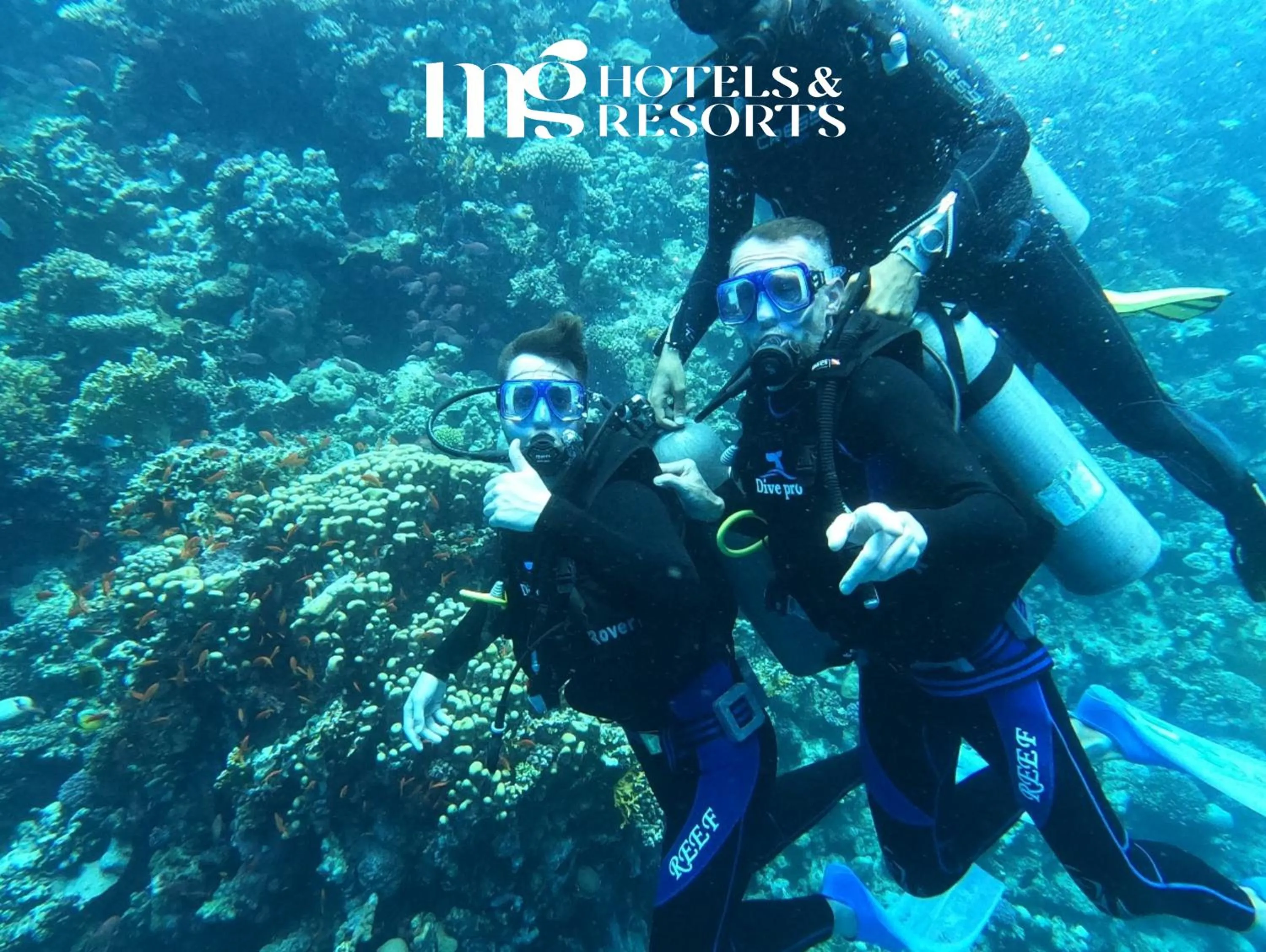 Diving in MG Alexander The Great Hotel