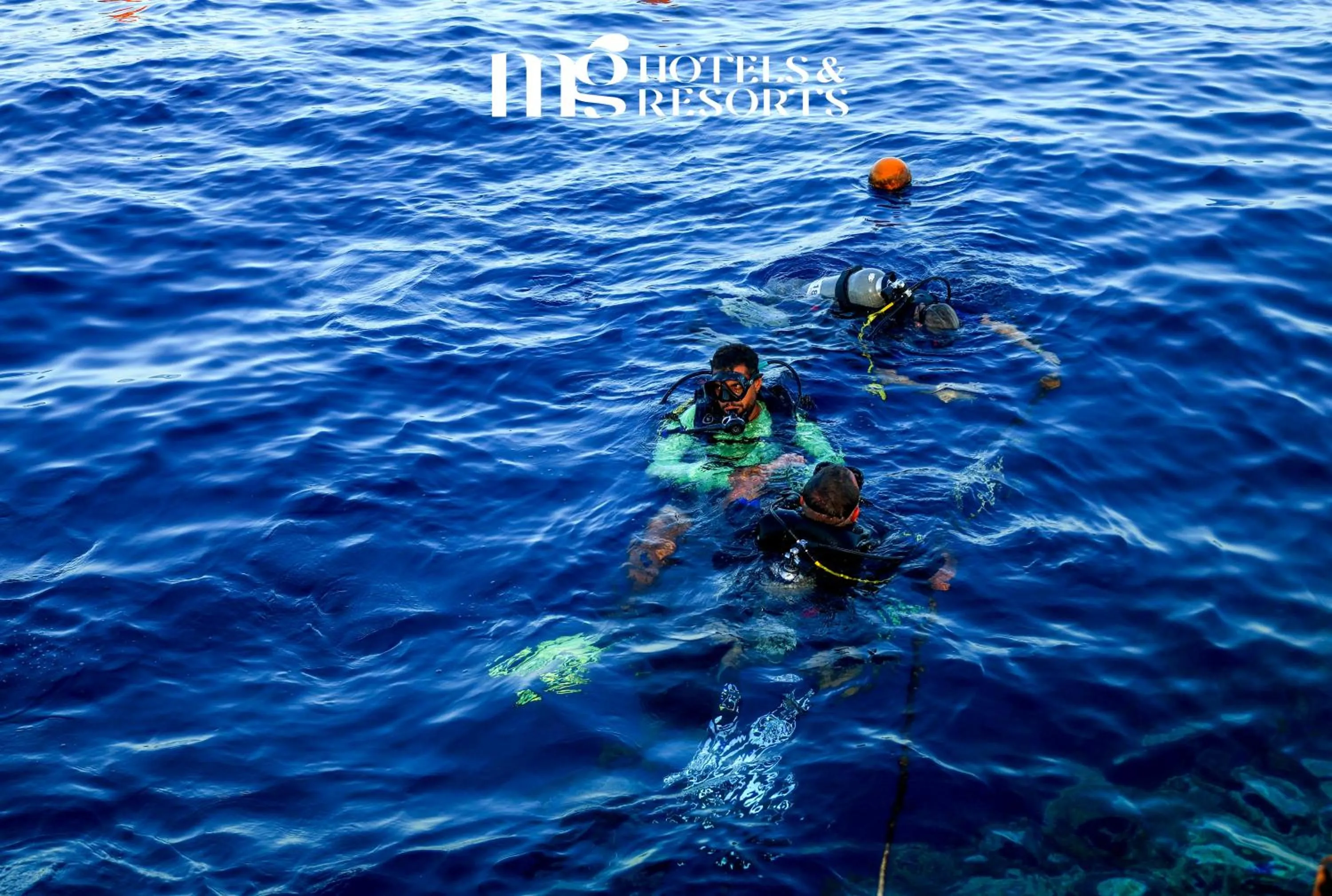 Diving in MG Alexander The Great Hotel
