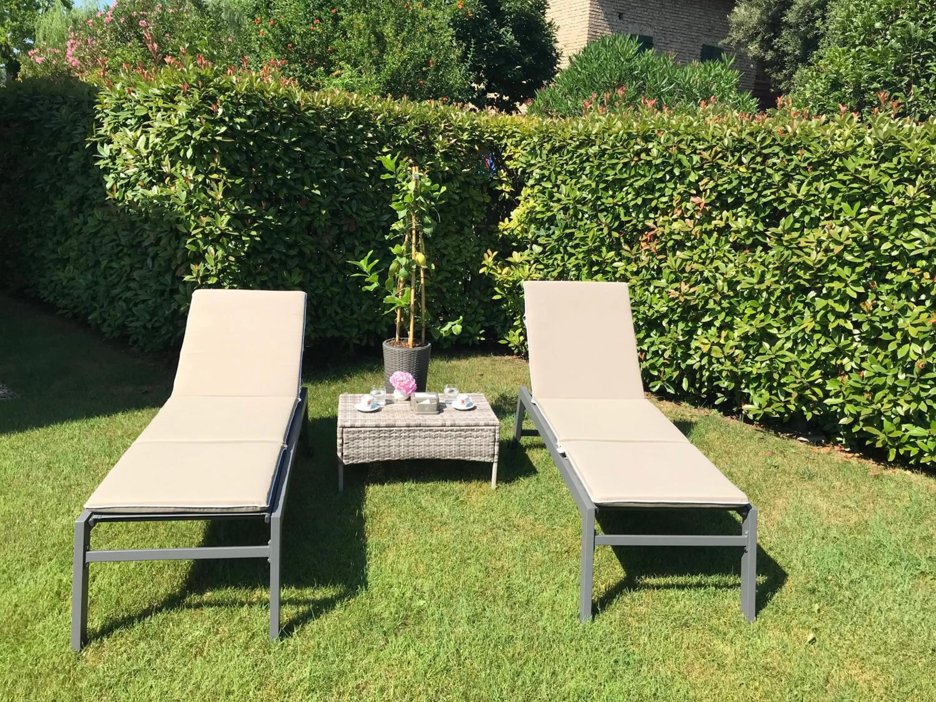 Balcony/Terrace in Hotel Purlilium