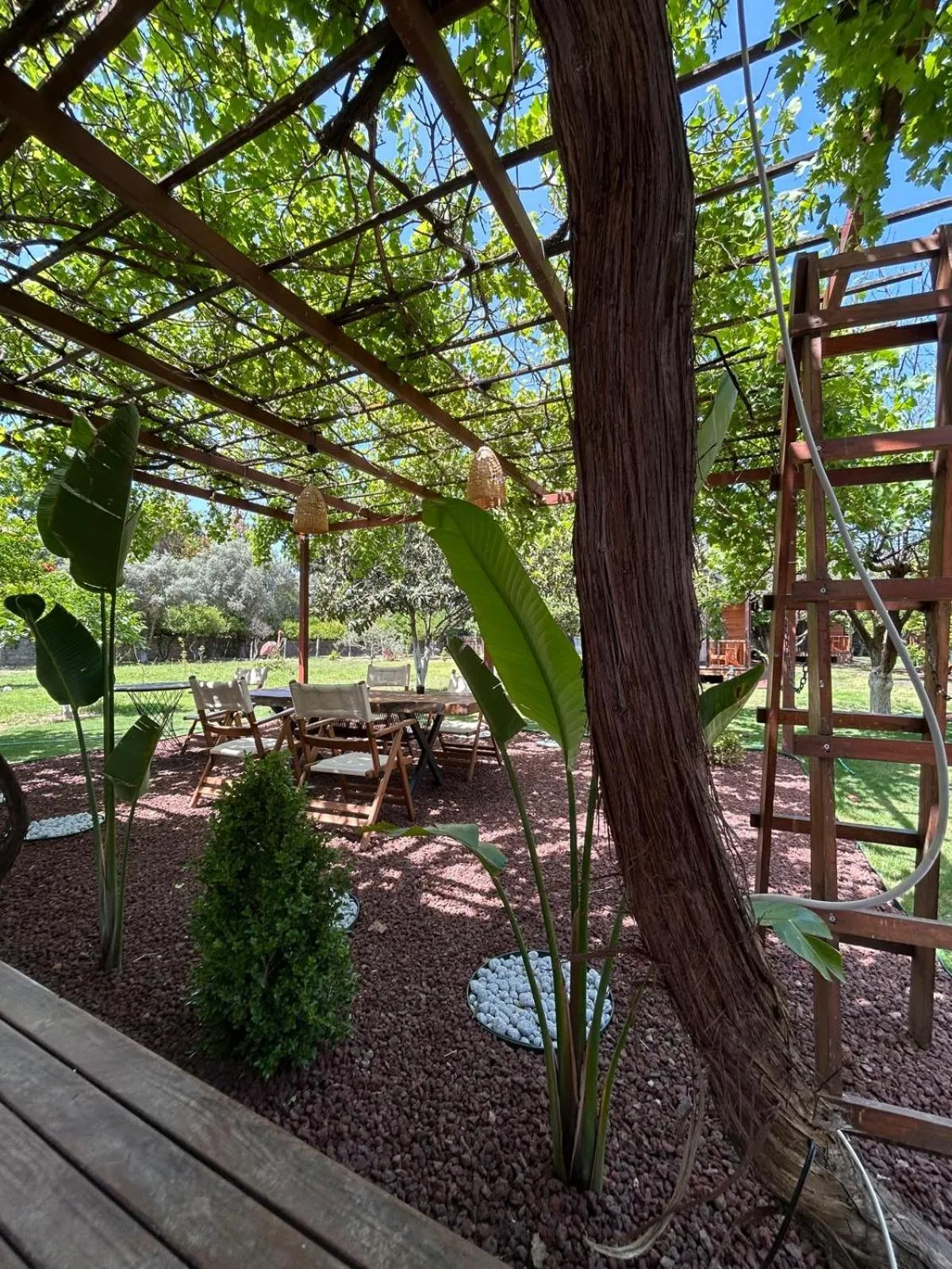 Summer in Dolce Vita Luxury Bungalows