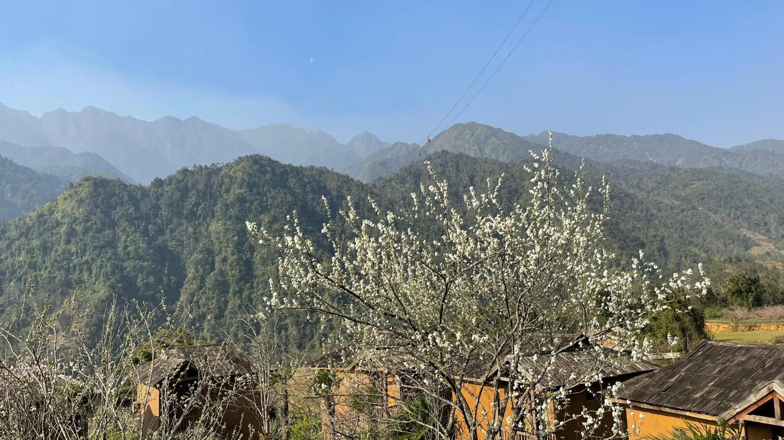 View (from property/room) in Sin Chai Ecolodge