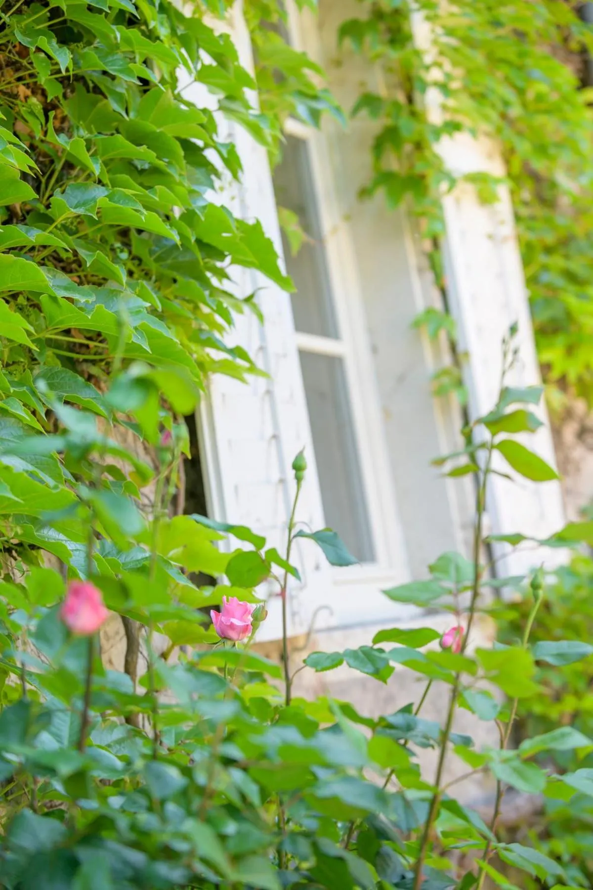 Facade/entrance in Logis HOTEL DU PARC