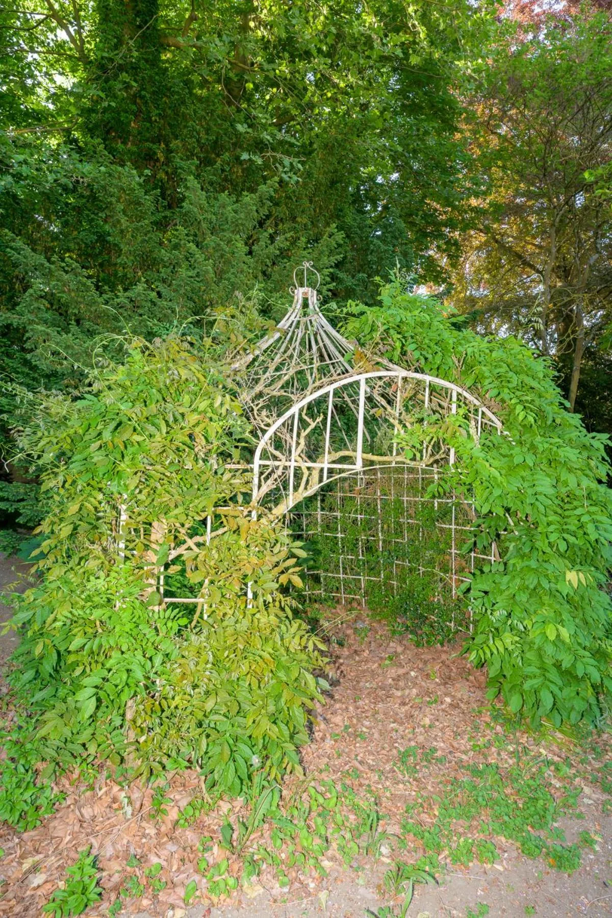 Garden in Logis HOTEL DU PARC