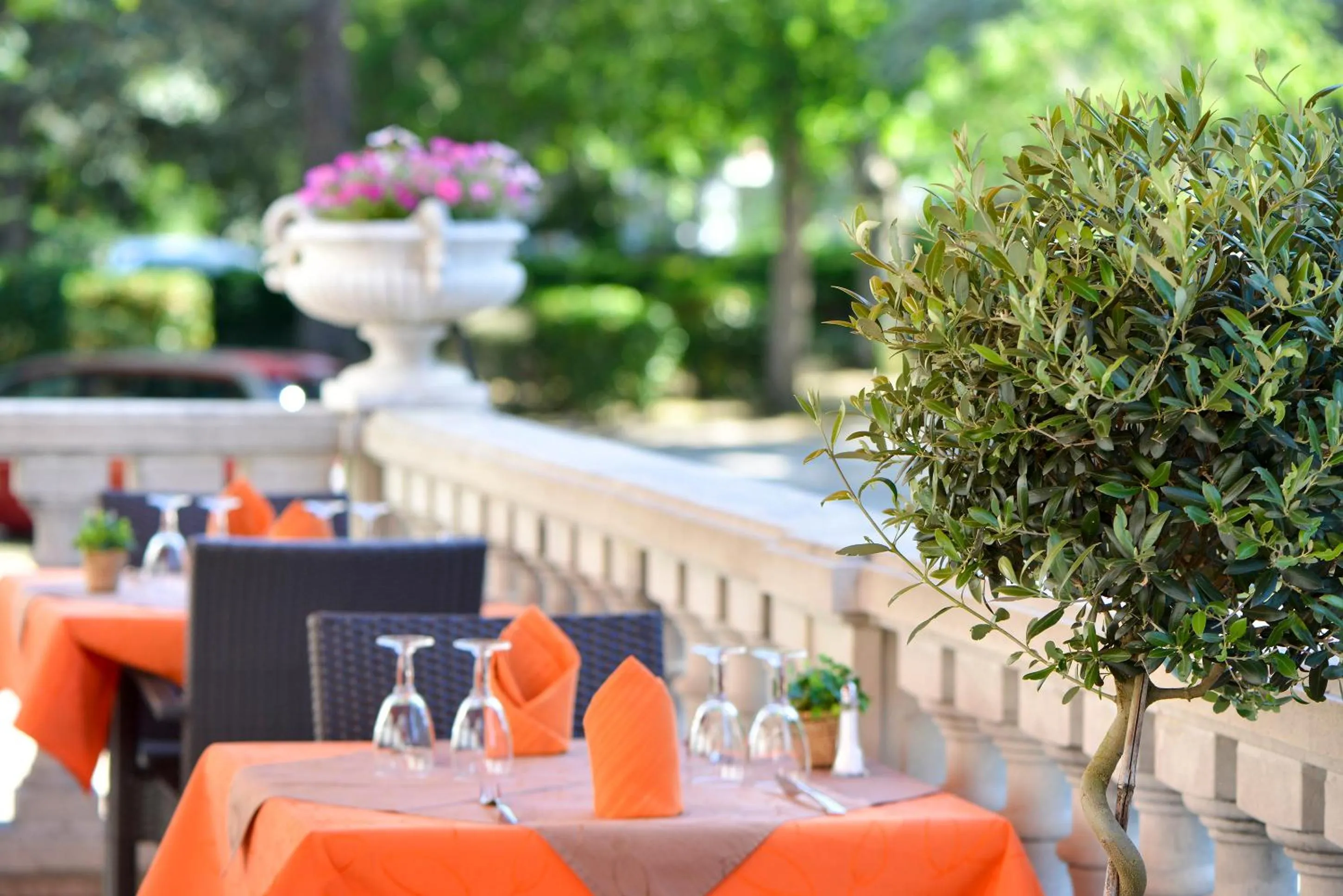 Patio in Logis Hôtel Restaurant Le Parc