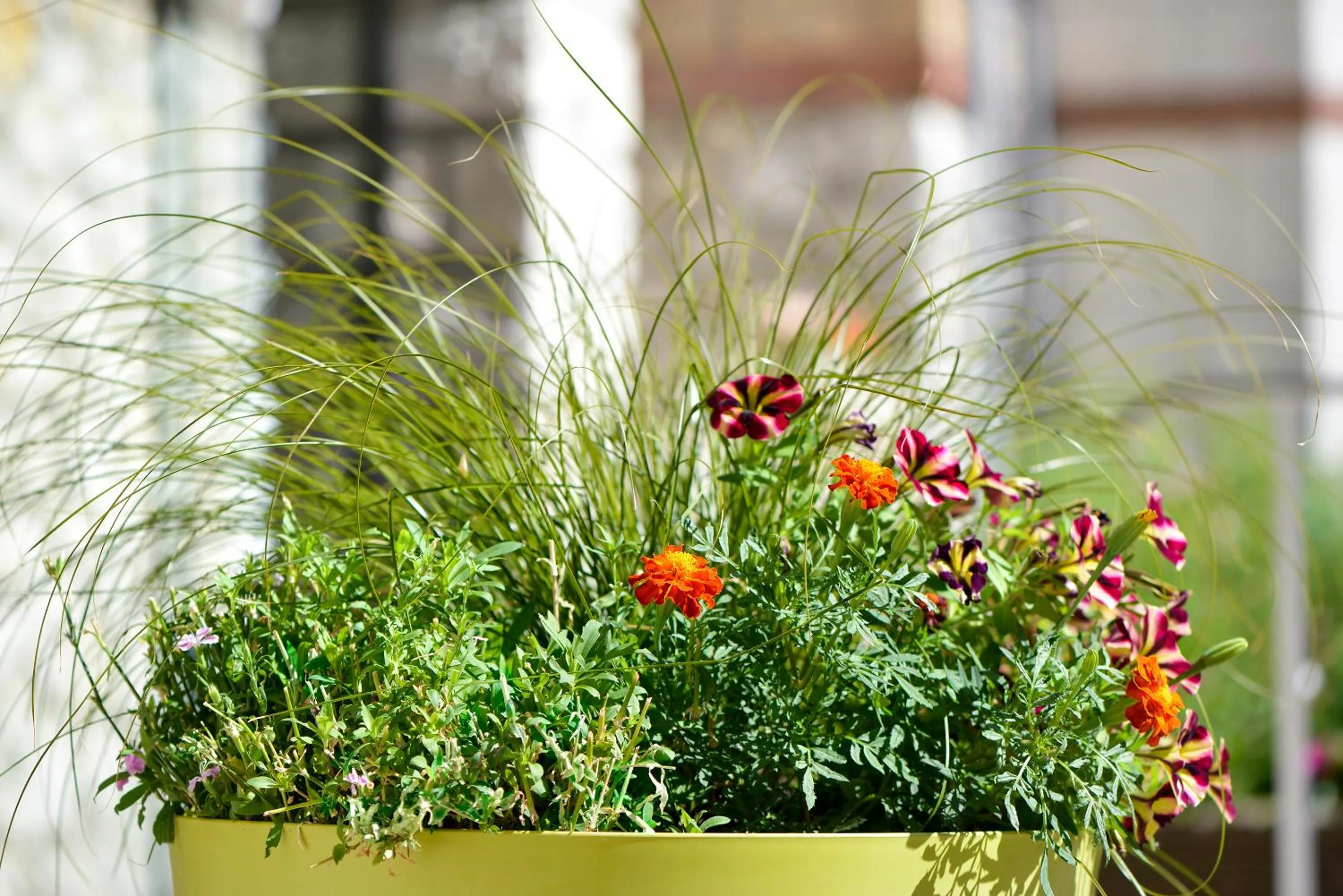 Patio in Logis Hôtel Restaurant Le Parc