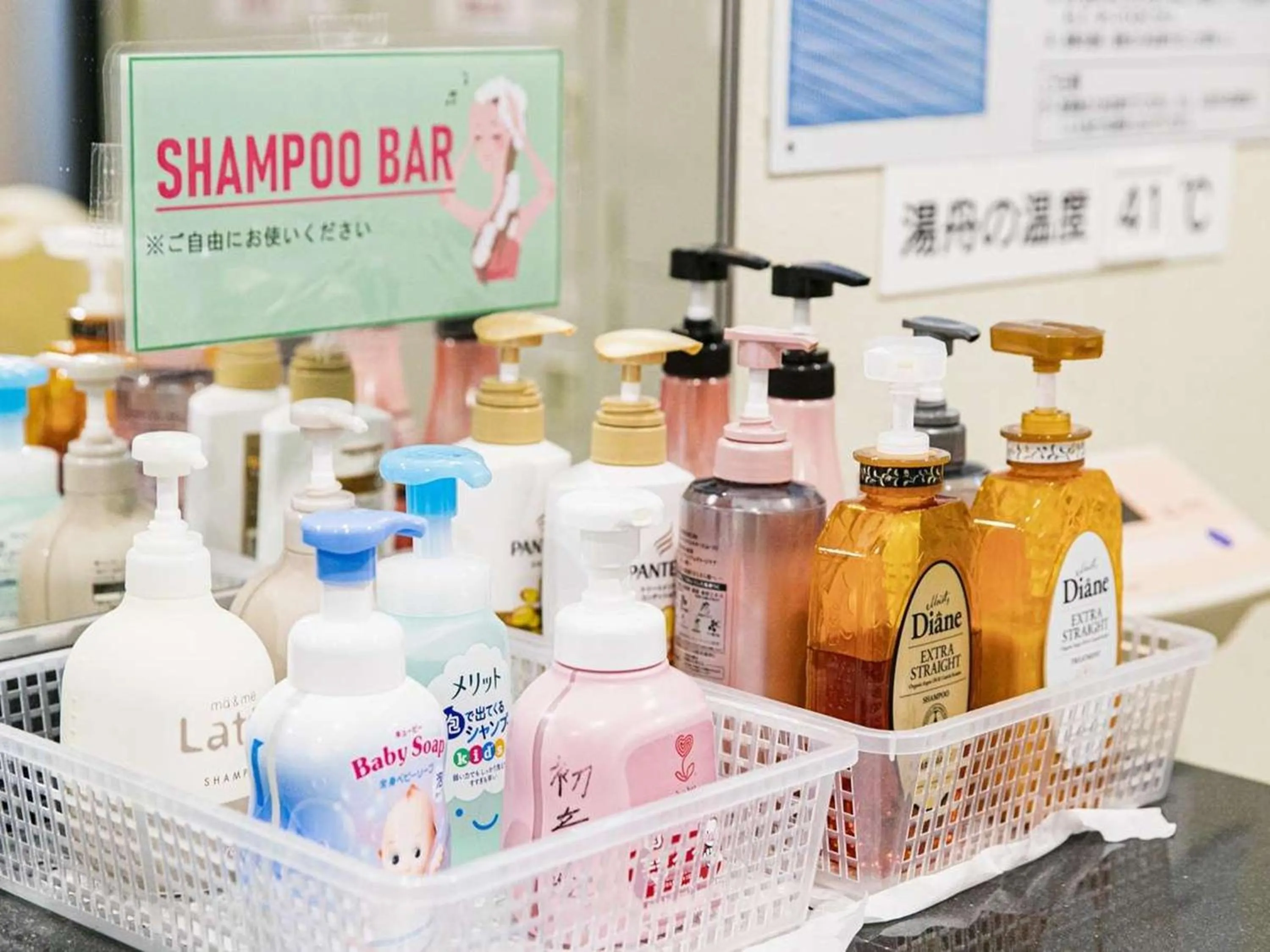 Hot Spring Bath in Hatsuneso Shinkan