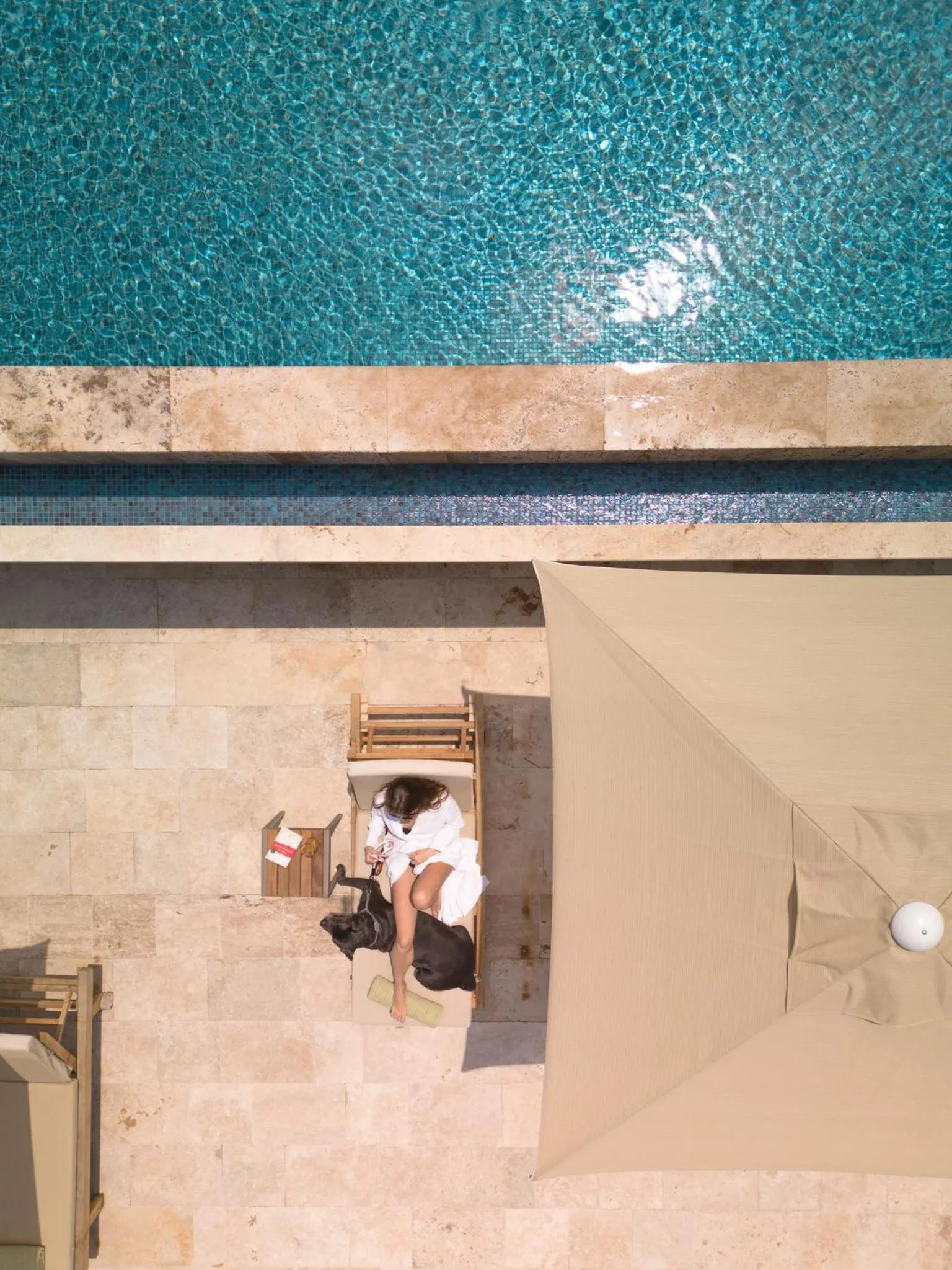 Pets in IZZ Getaway - Adults Only