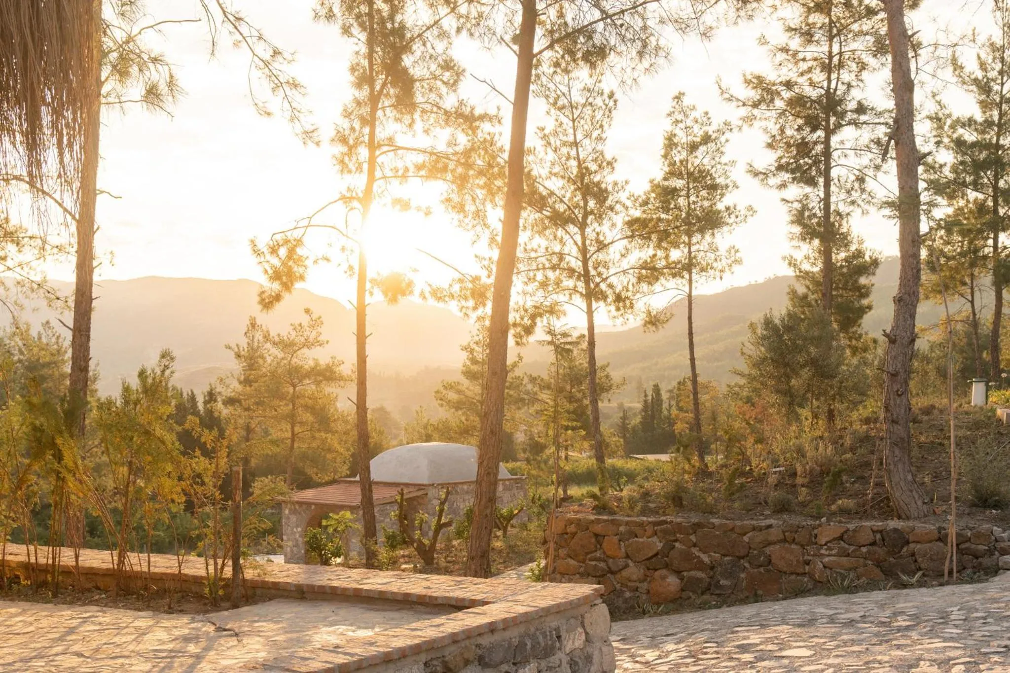 Natural landscape in IZZ Getaway - Adults Only