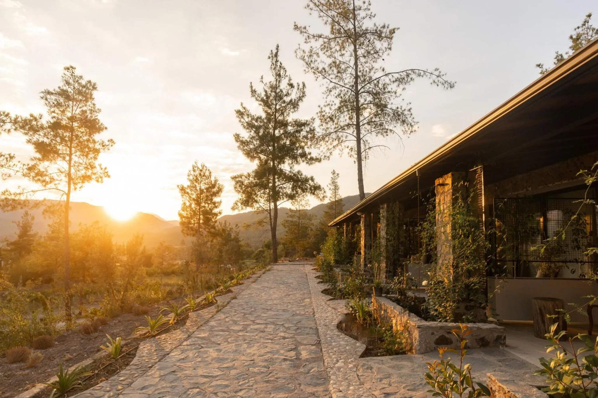 Natural landscape in IZZ Getaway - Adults Only