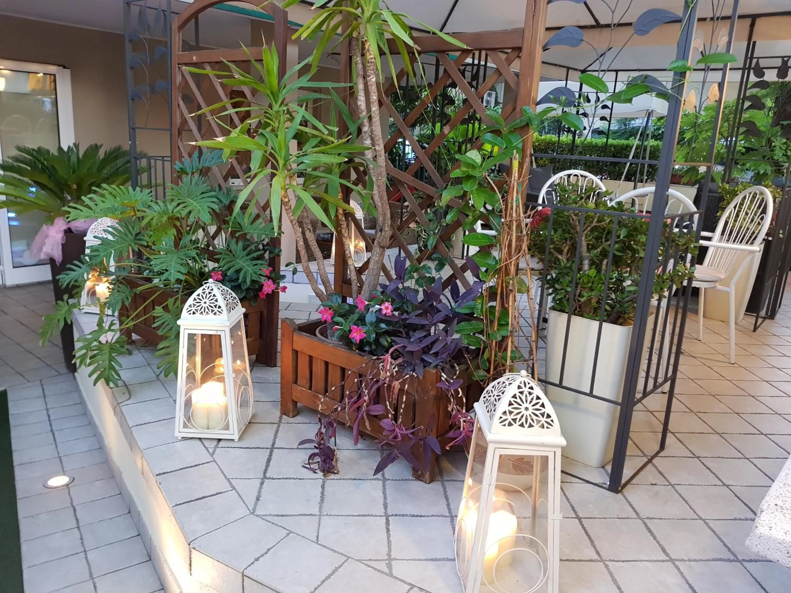 Garden in Hotel Beppe