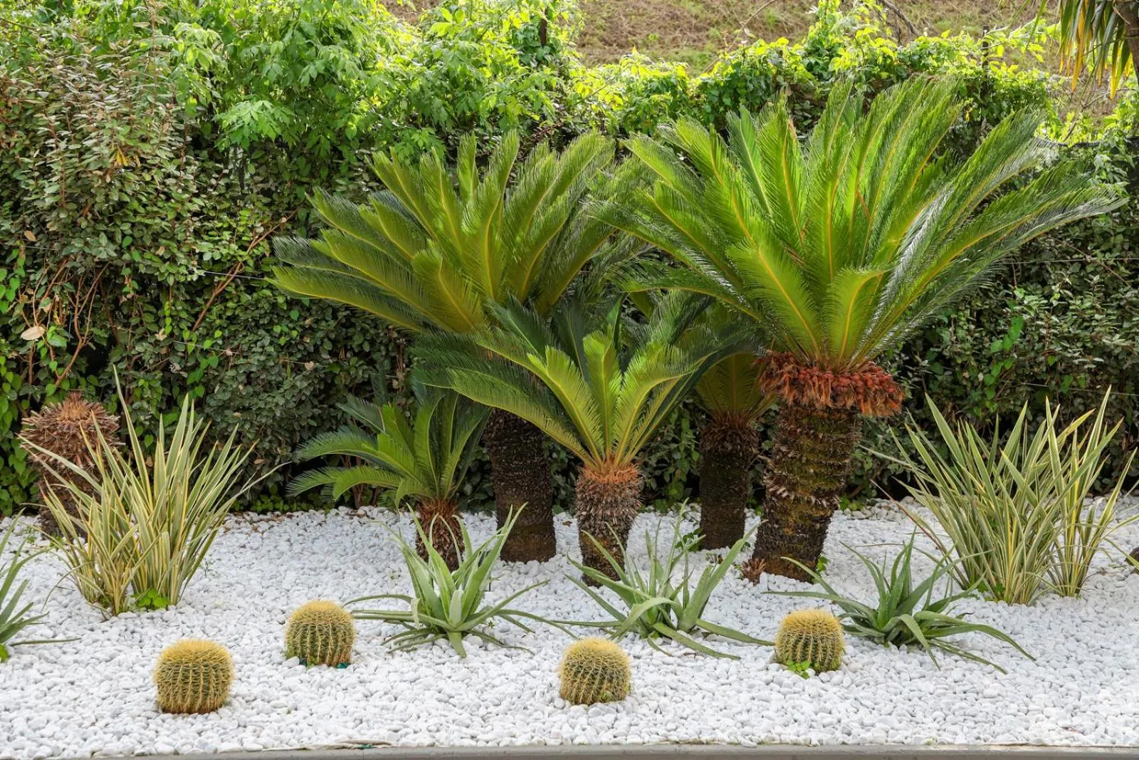 Garden in Hotel I Gigli