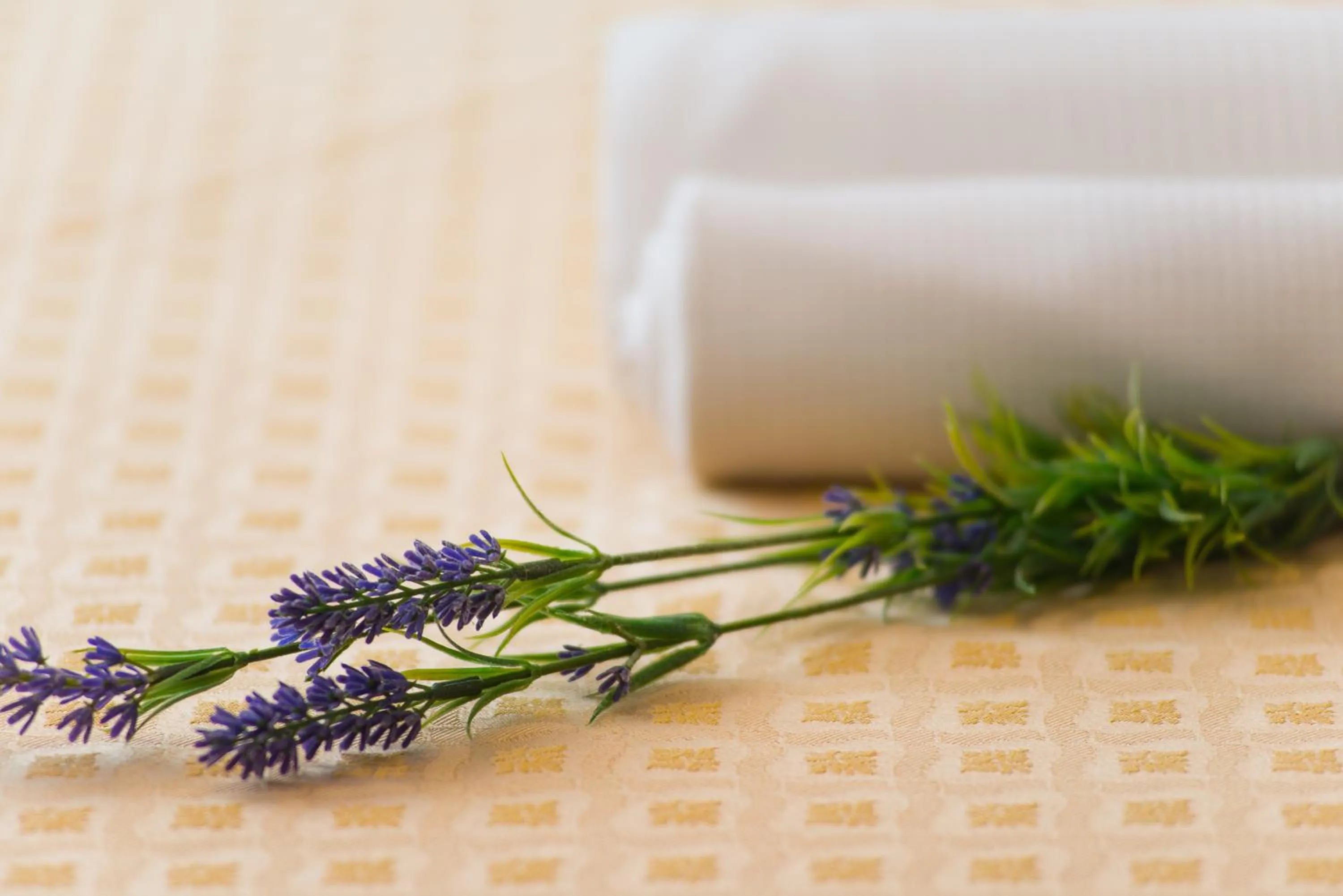 Decorative detail in Hotel Sirena