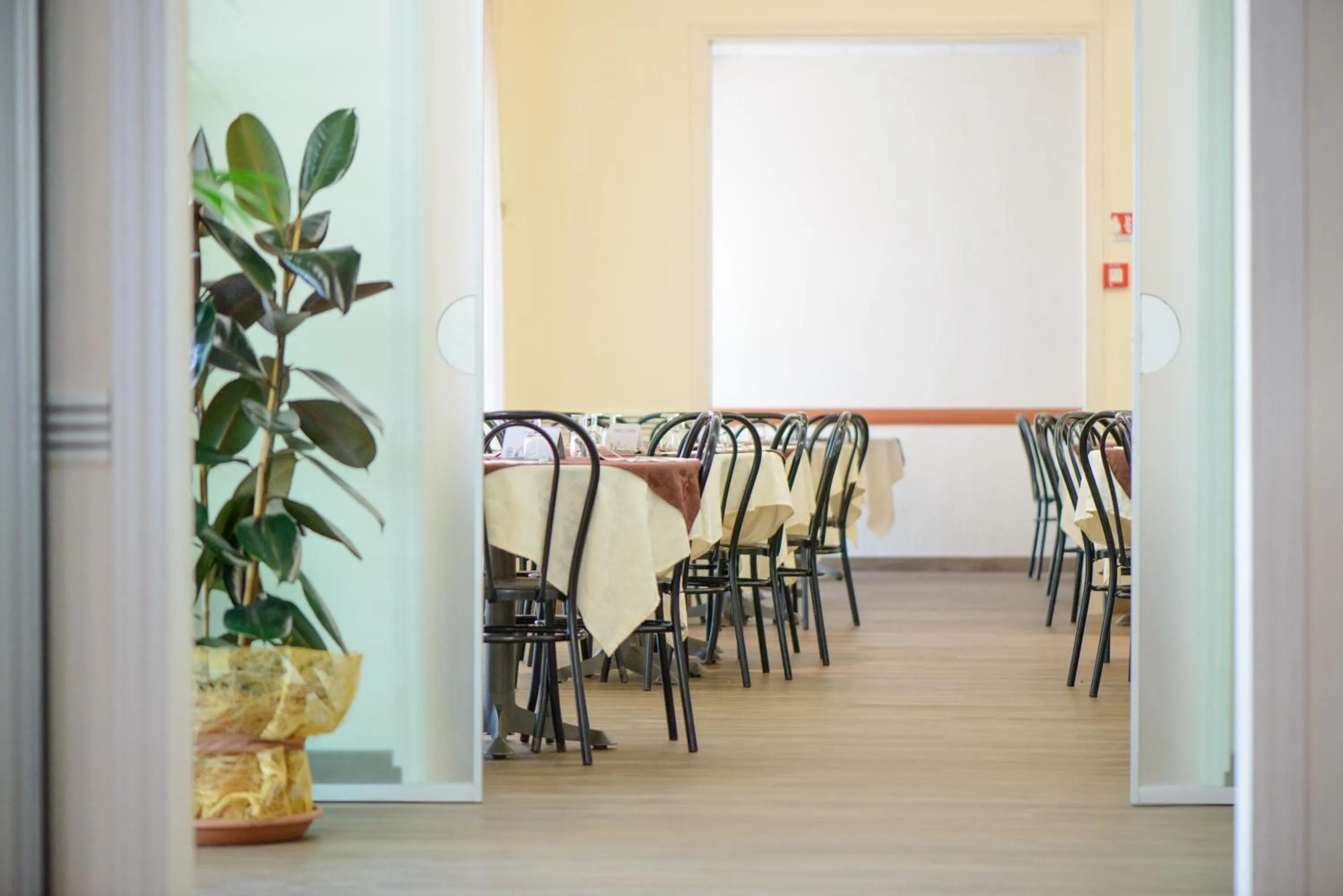 Restaurant/places to eat in Hotel Sirena