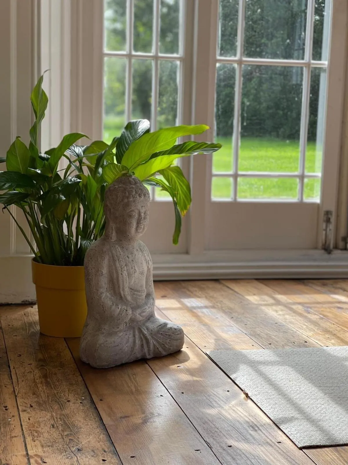 Activities in The Retreat New Forest