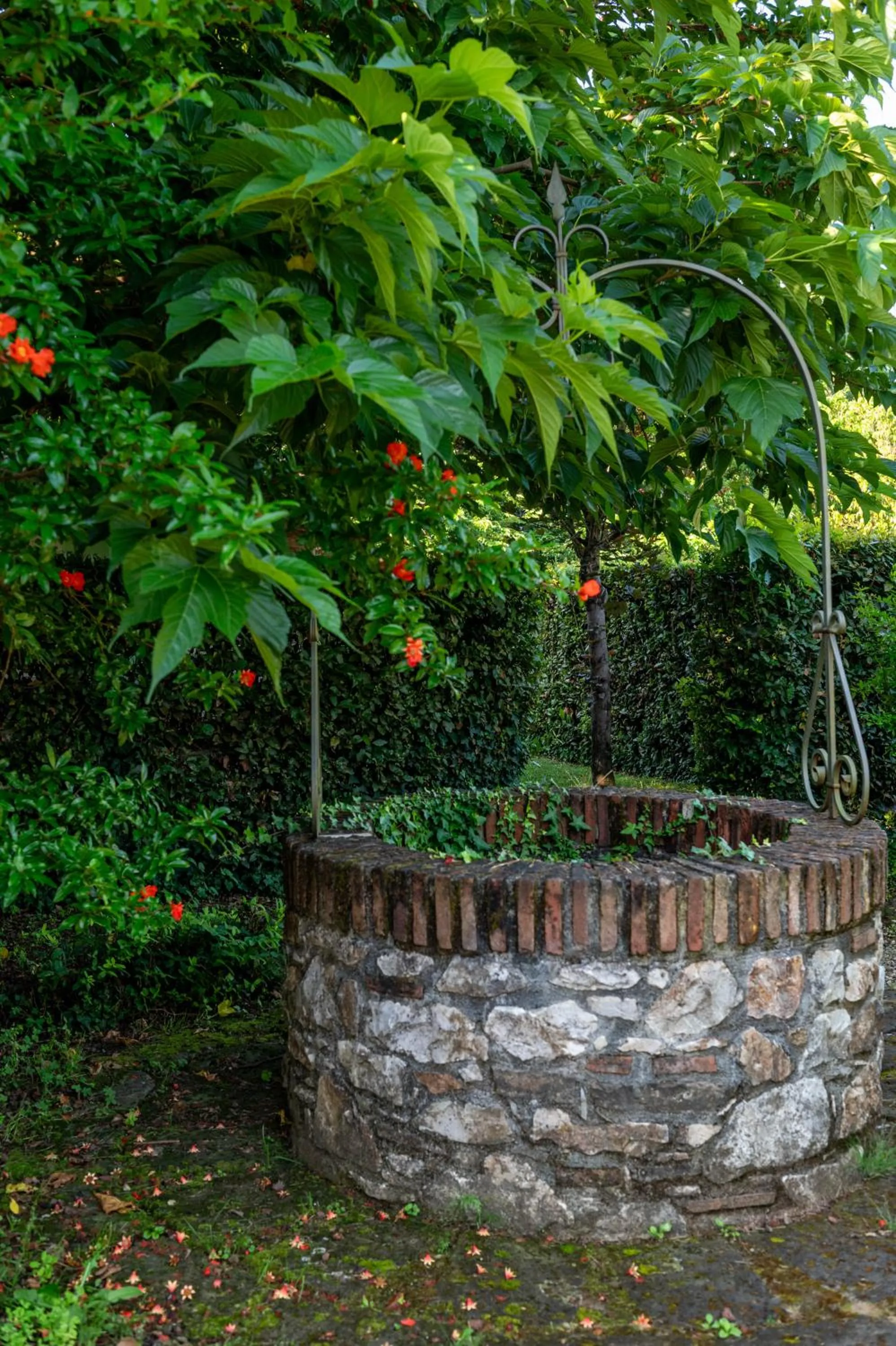 Spring in Villa Corte Degli Dei