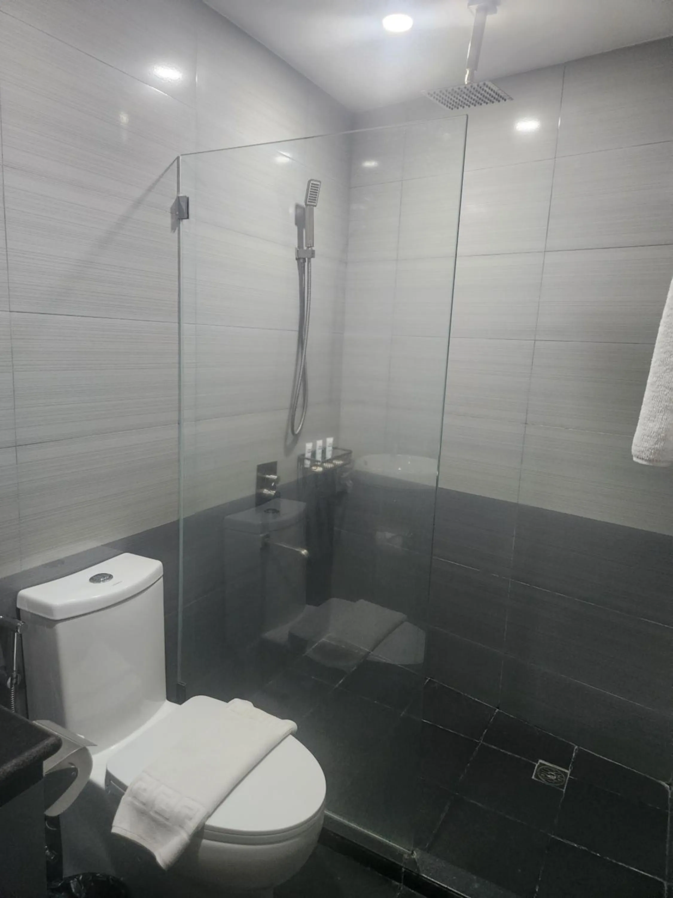 Shower in Hotel Herencia 625