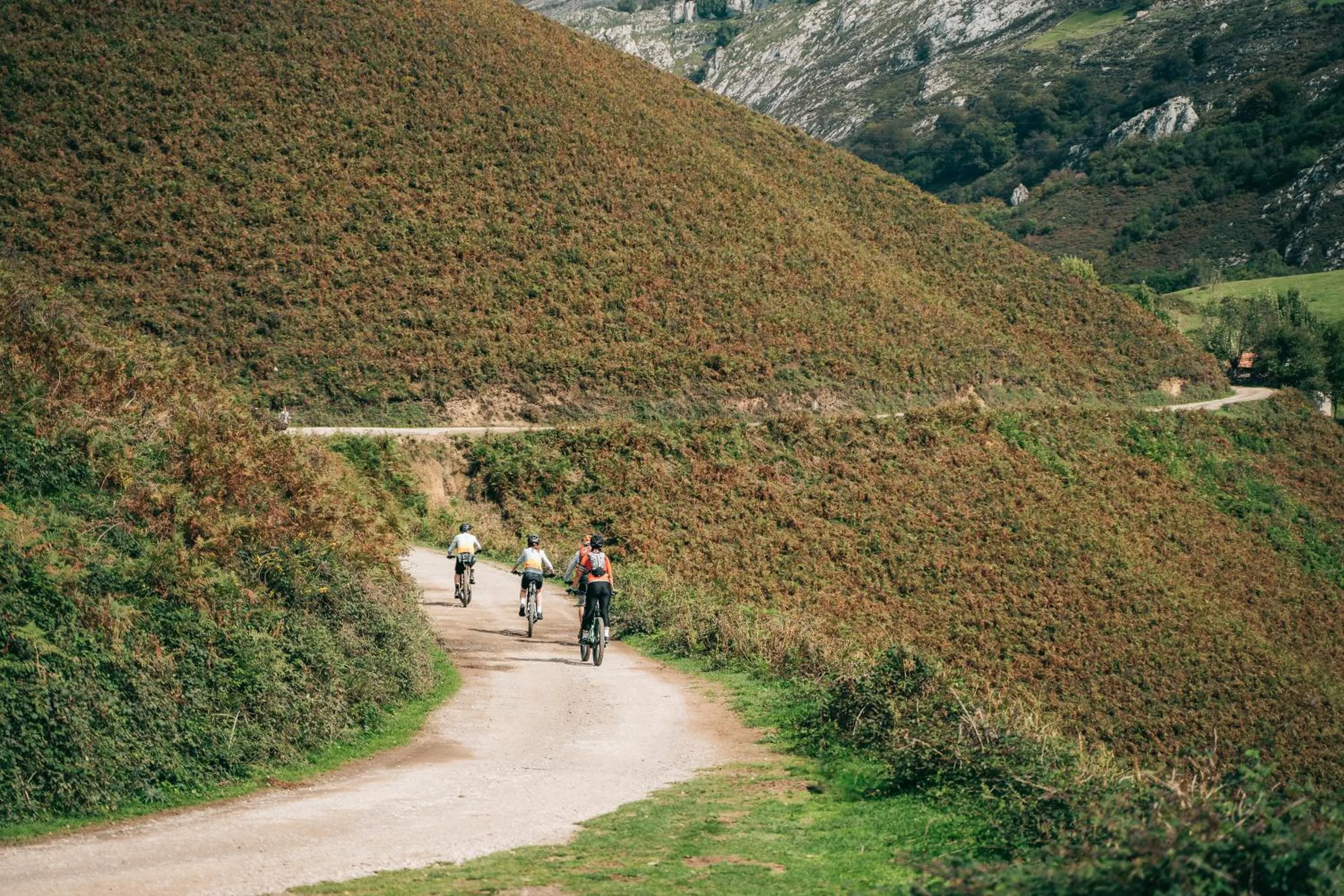 Activities in El Gato Gordo - bike & surf house