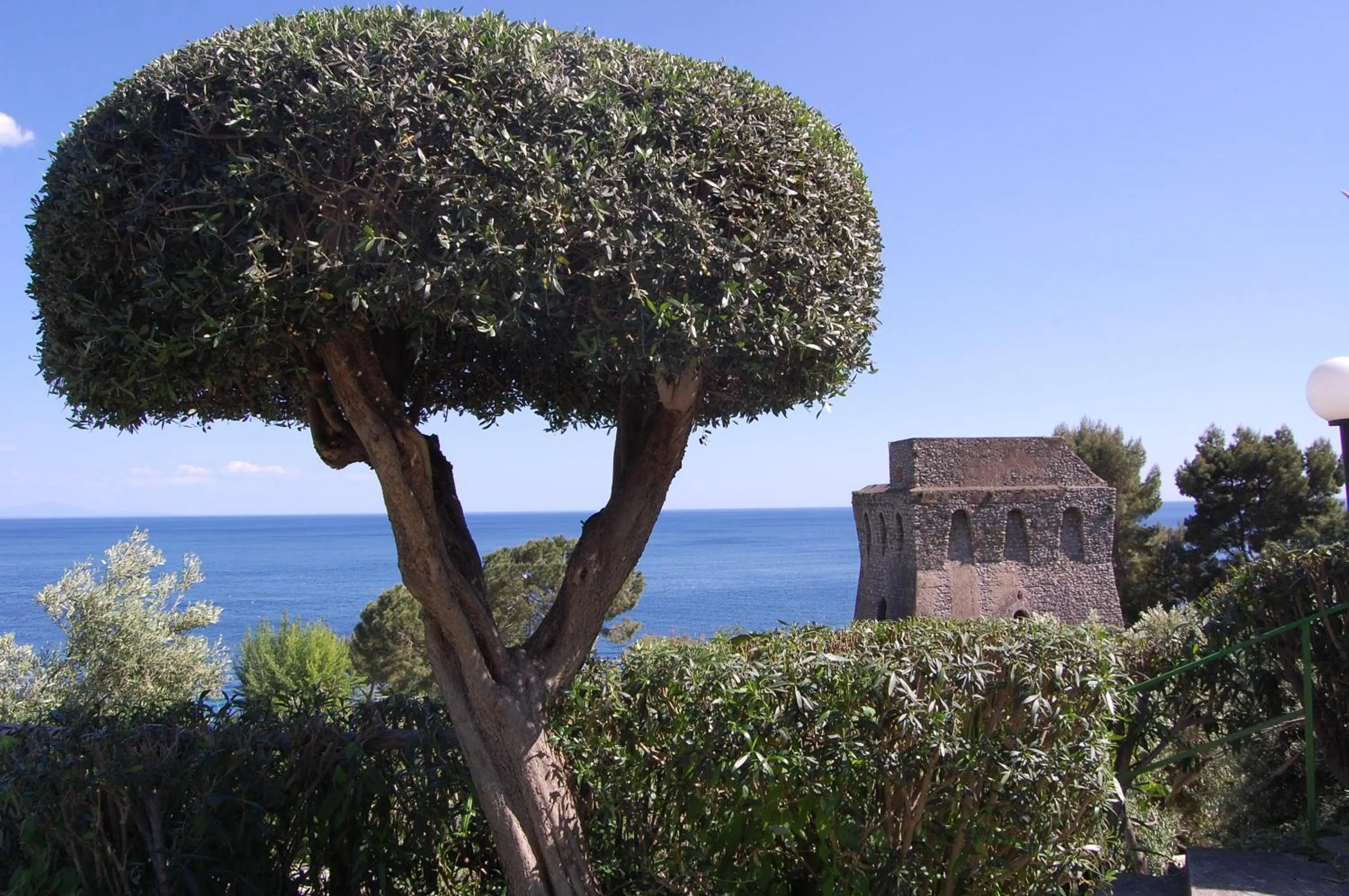 Natural landscape in Torre Turbolo Apartments