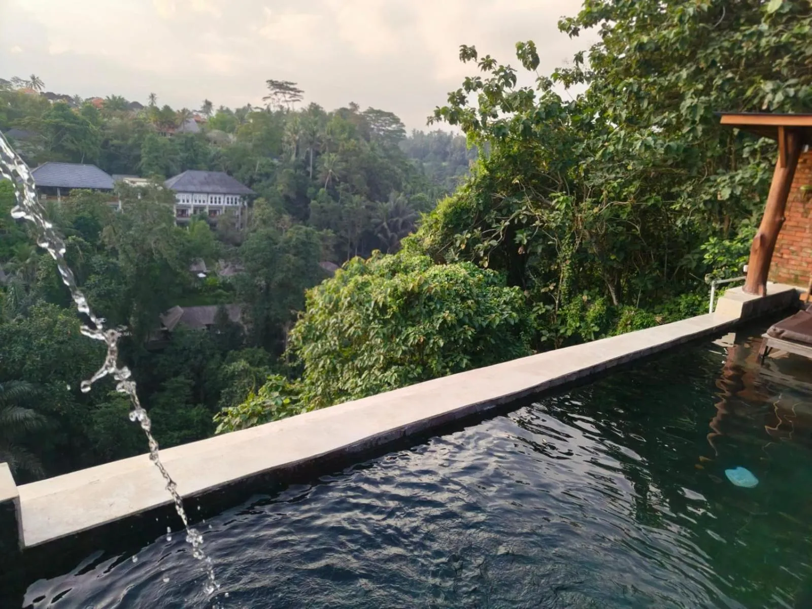 Pool view in Joglo Organik Guesthouse