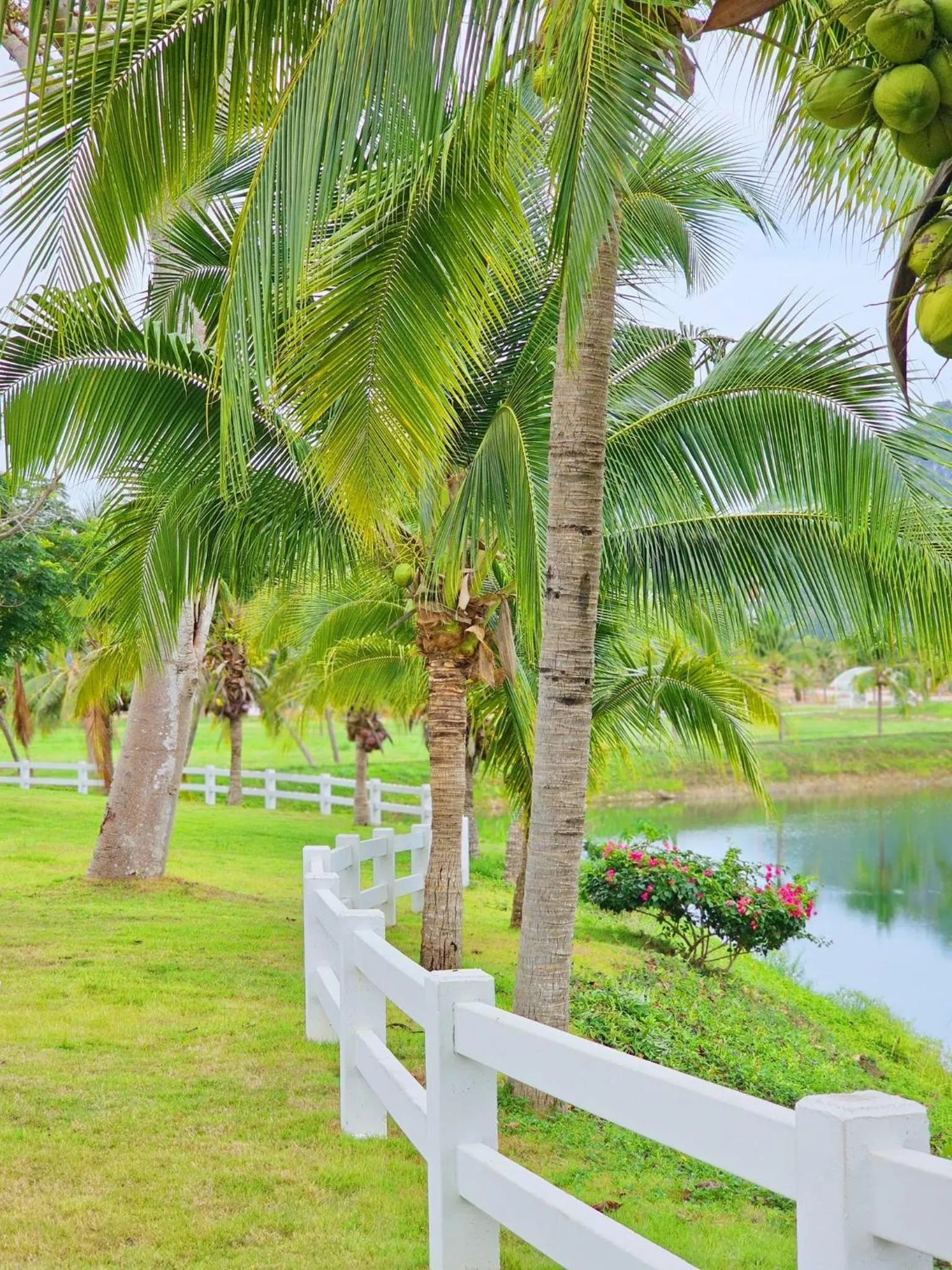 View (from property/room) in Grand Lord Hotel & Residence - Khao chi chan Pattaya