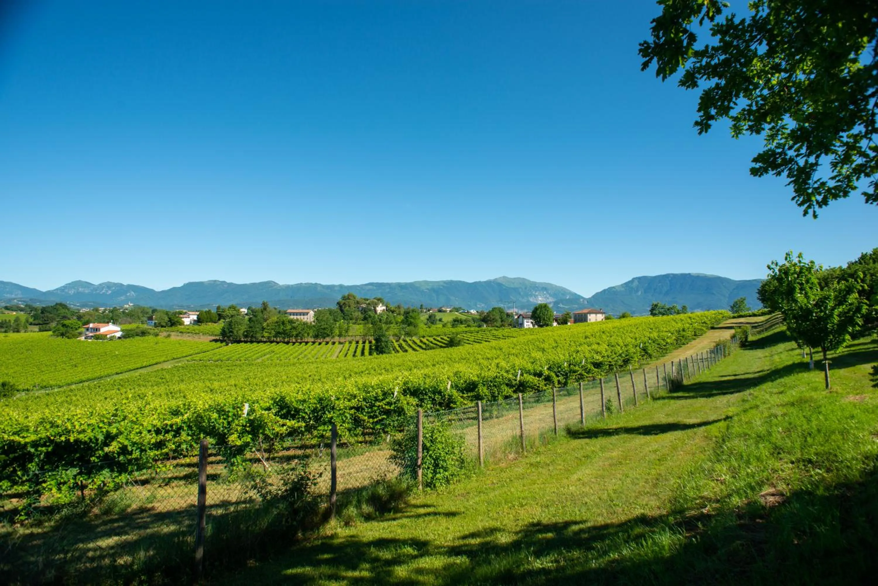 Nearby landmark in Relais La Dolce Vite