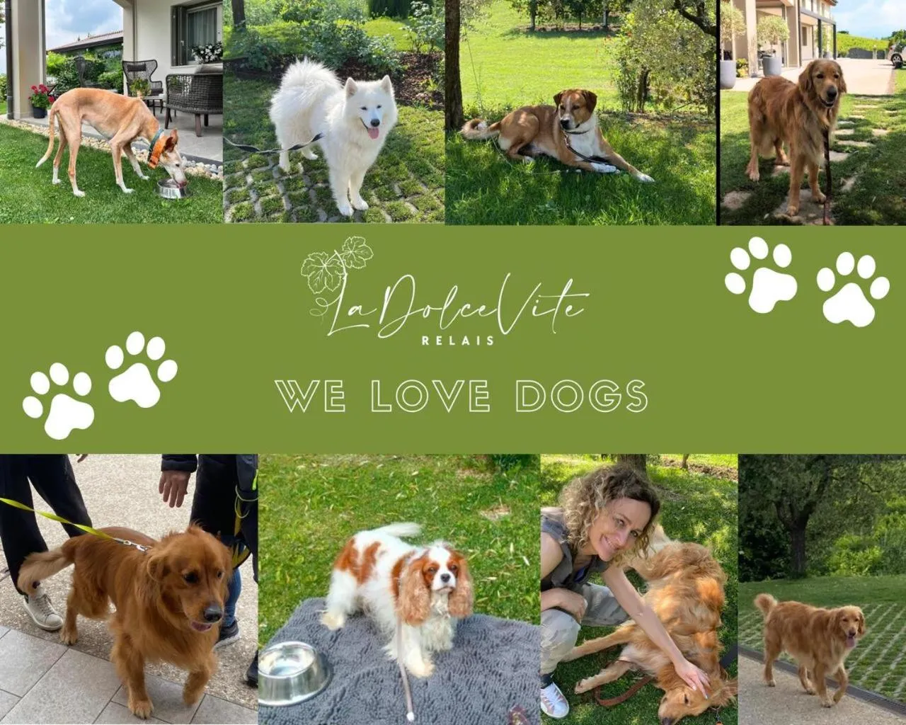 Animals in Relais La Dolce Vite