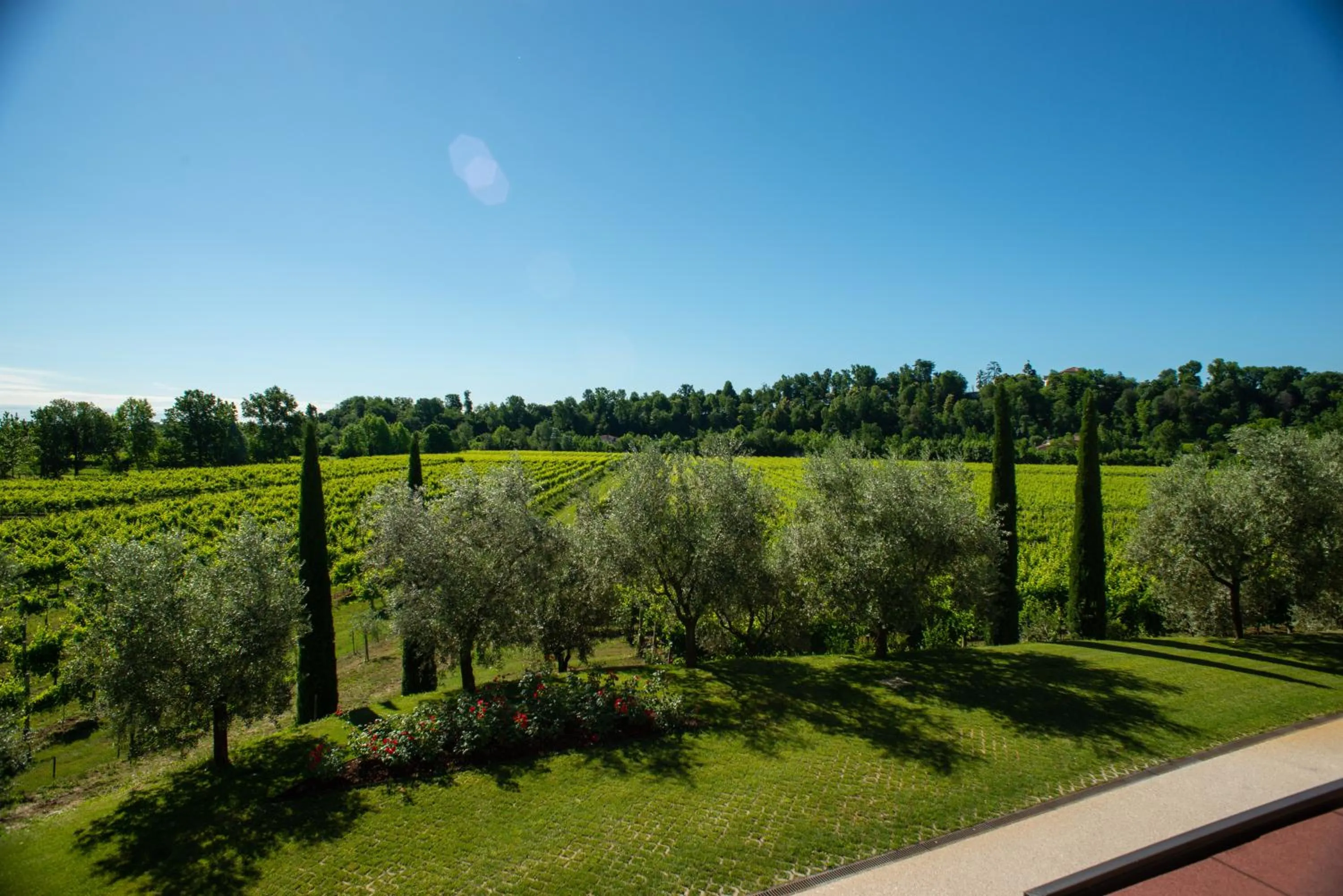 Natural landscape in Relais La Dolce Vite