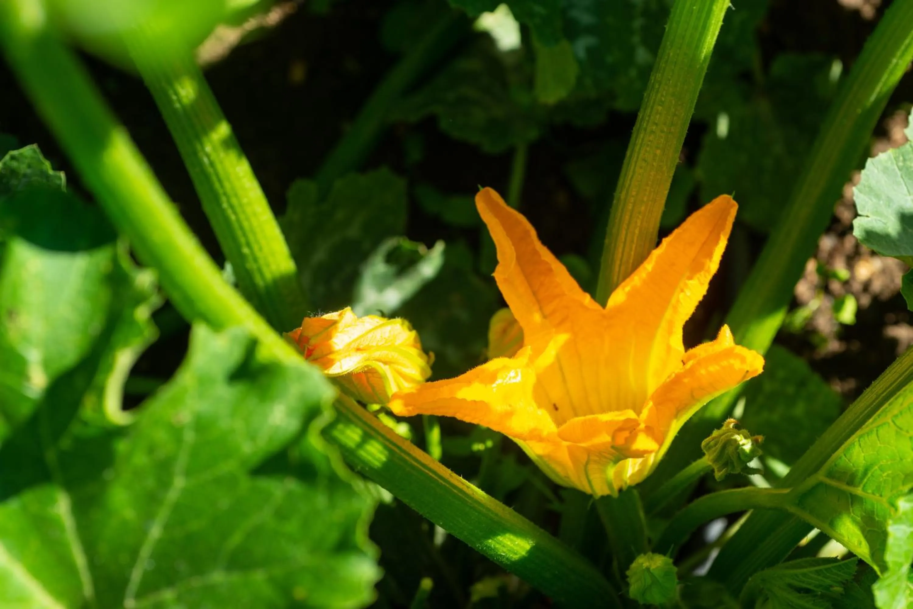 Day in Relais La Dolce Vite