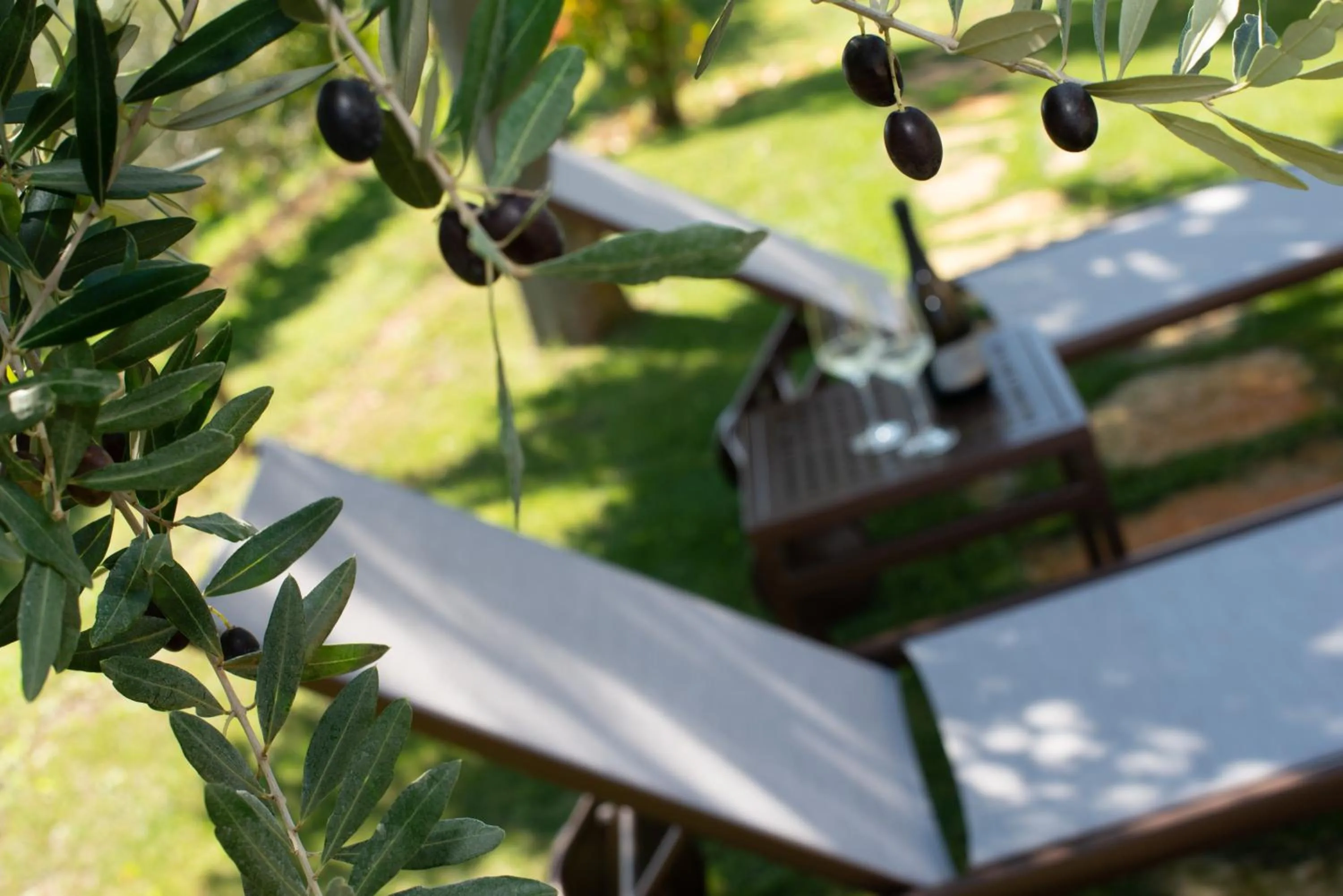 Day in Relais La Dolce Vite