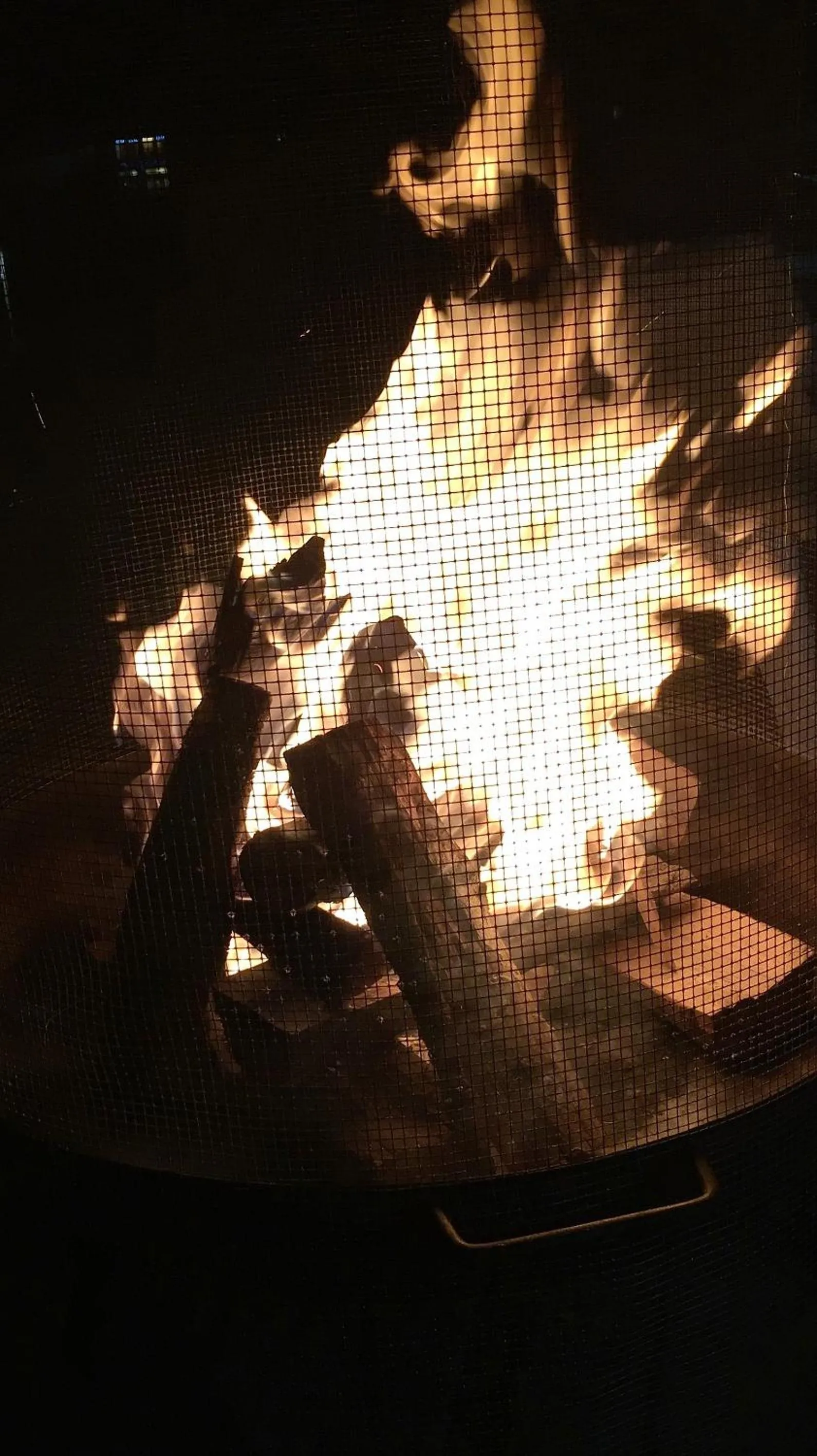 Evening entertainment in Hotel Nordend