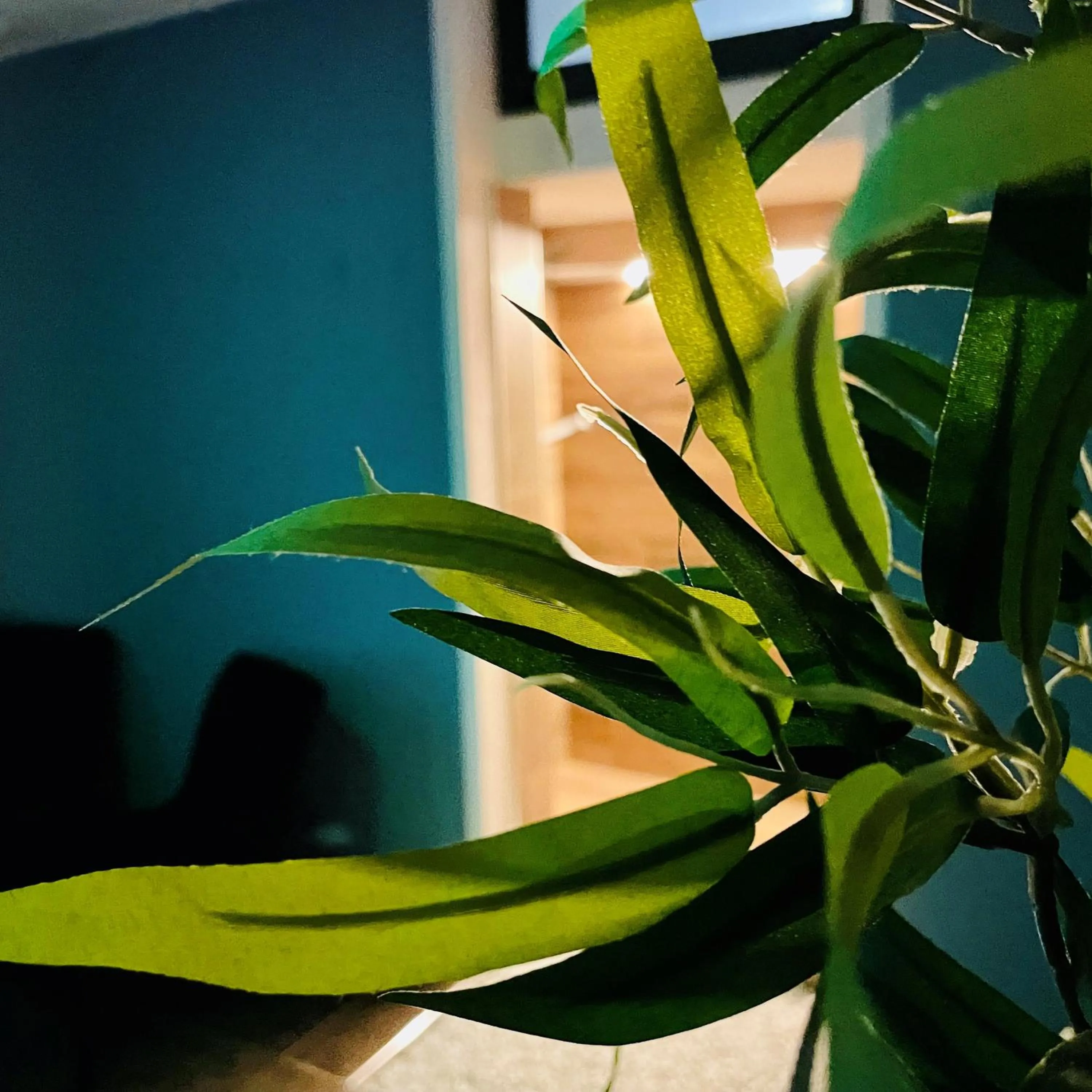 Spa and wellness centre/facilities in Hotel Nordend