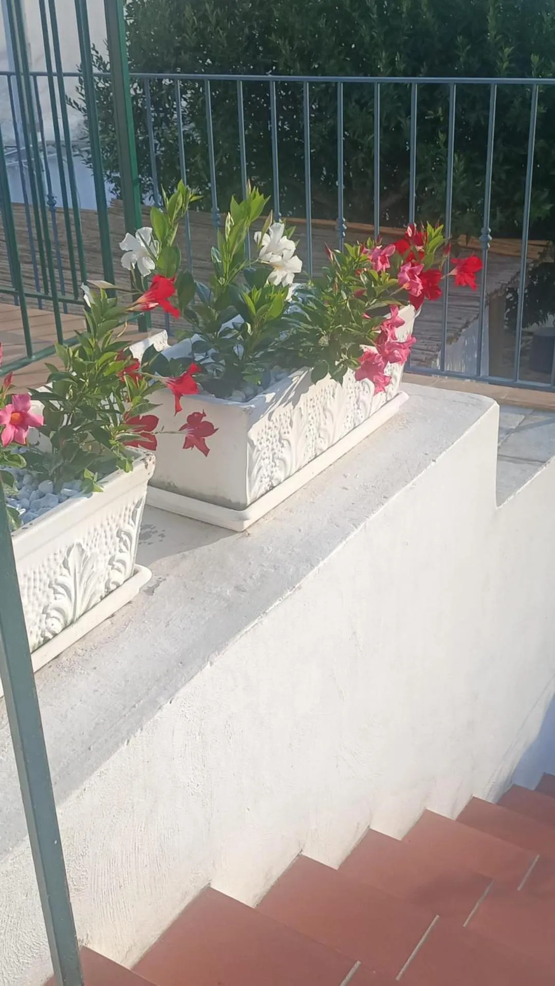 Property building in MAISON SAINT MICHAEL