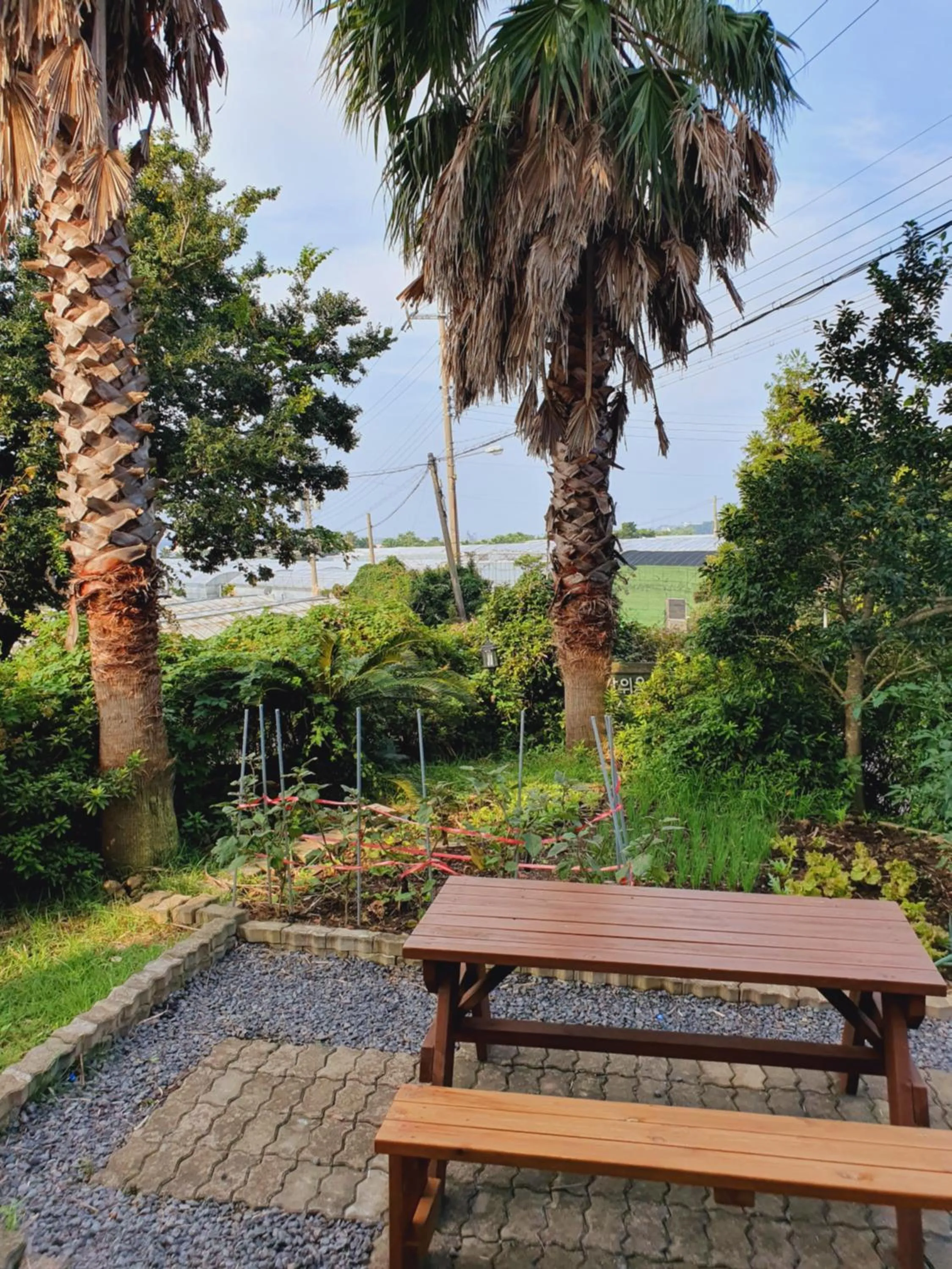 Jeju Bada Wi Olle Pension