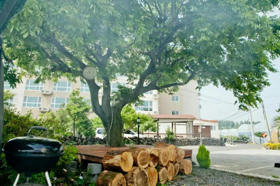 Day in Jeju Bada Wi Olle Pension