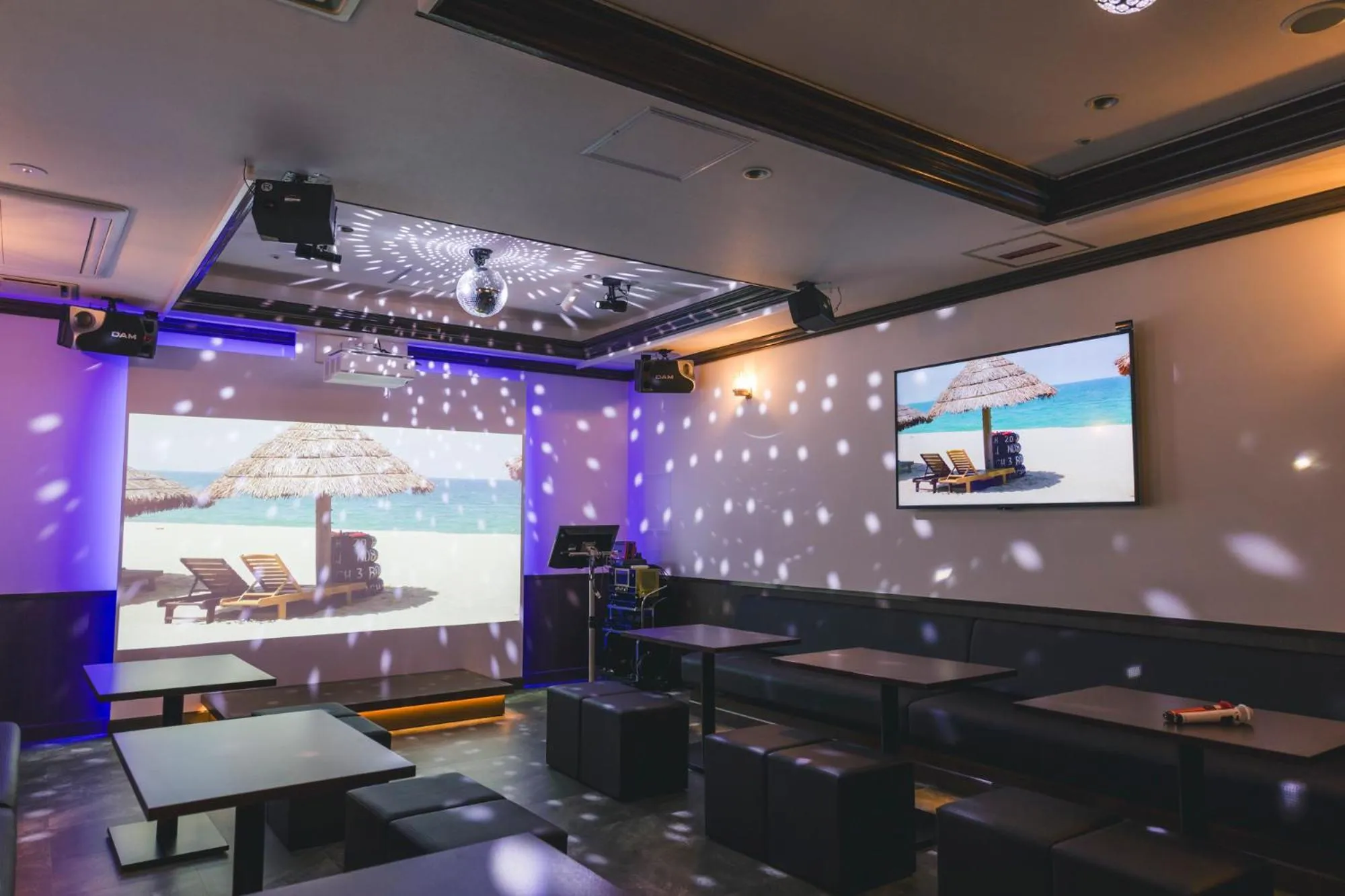 Karaoke in Seaside Hotel Maiko Villa Kobe