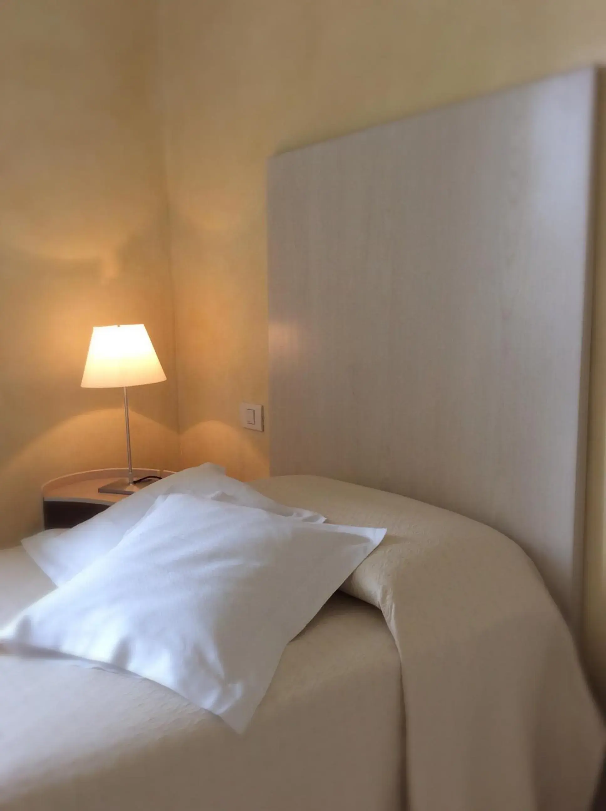 Single Room - single occupancy in Hotel Colombia Single Room - single occupancy in Hotel Colombia
