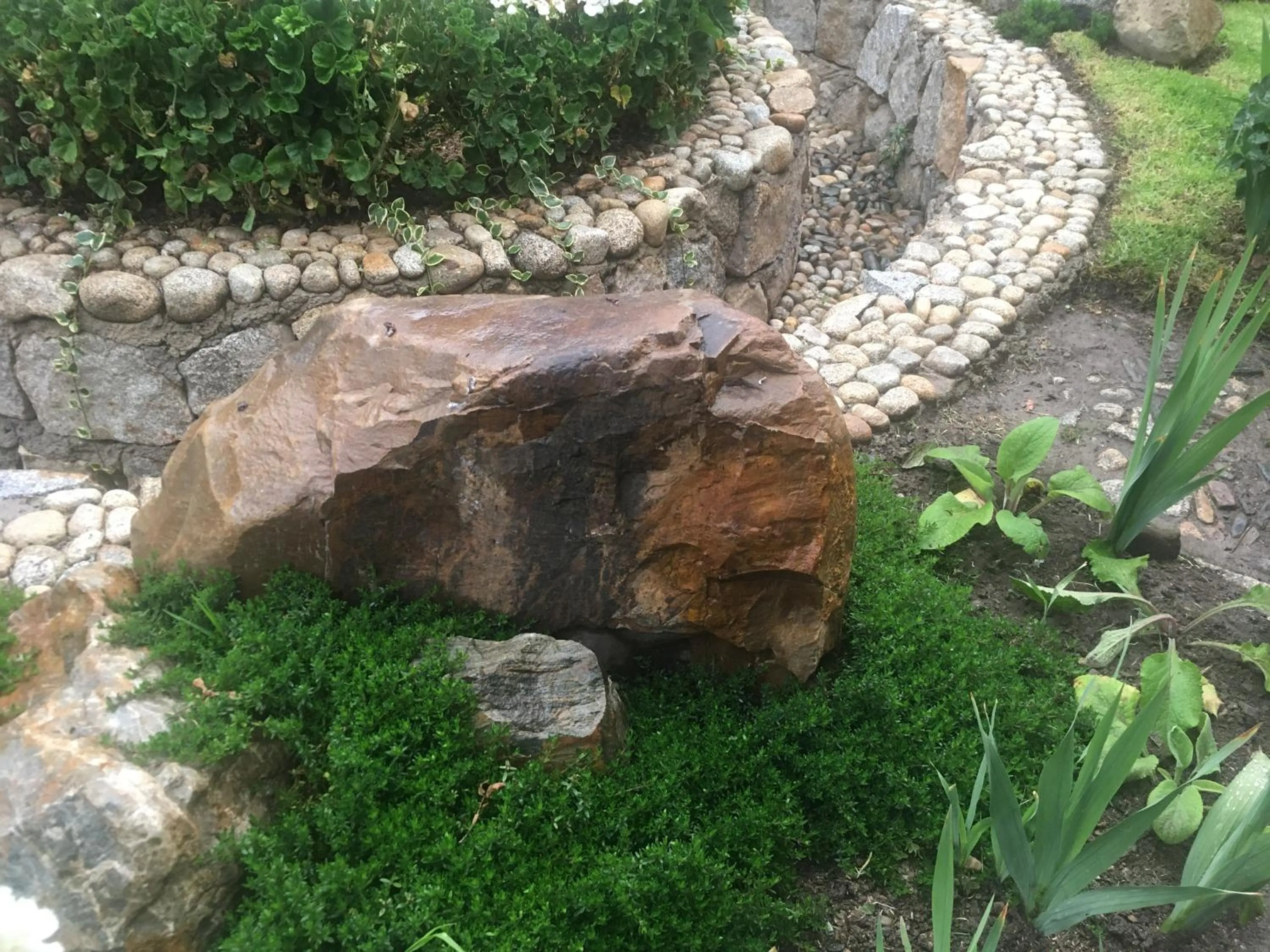Garden view in La casa de Teresita