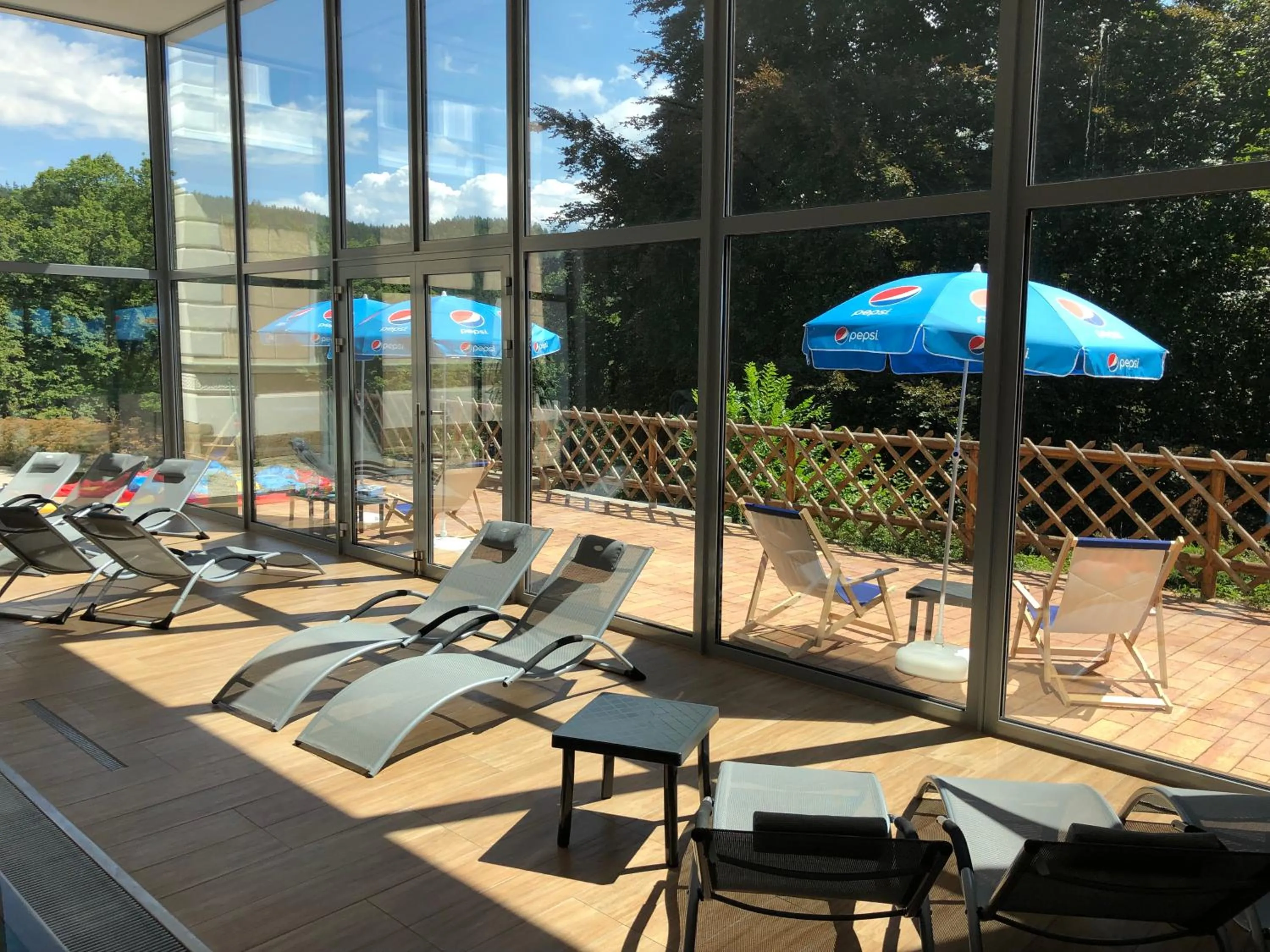 Pool view in Hotel Villa Golf Cihelny