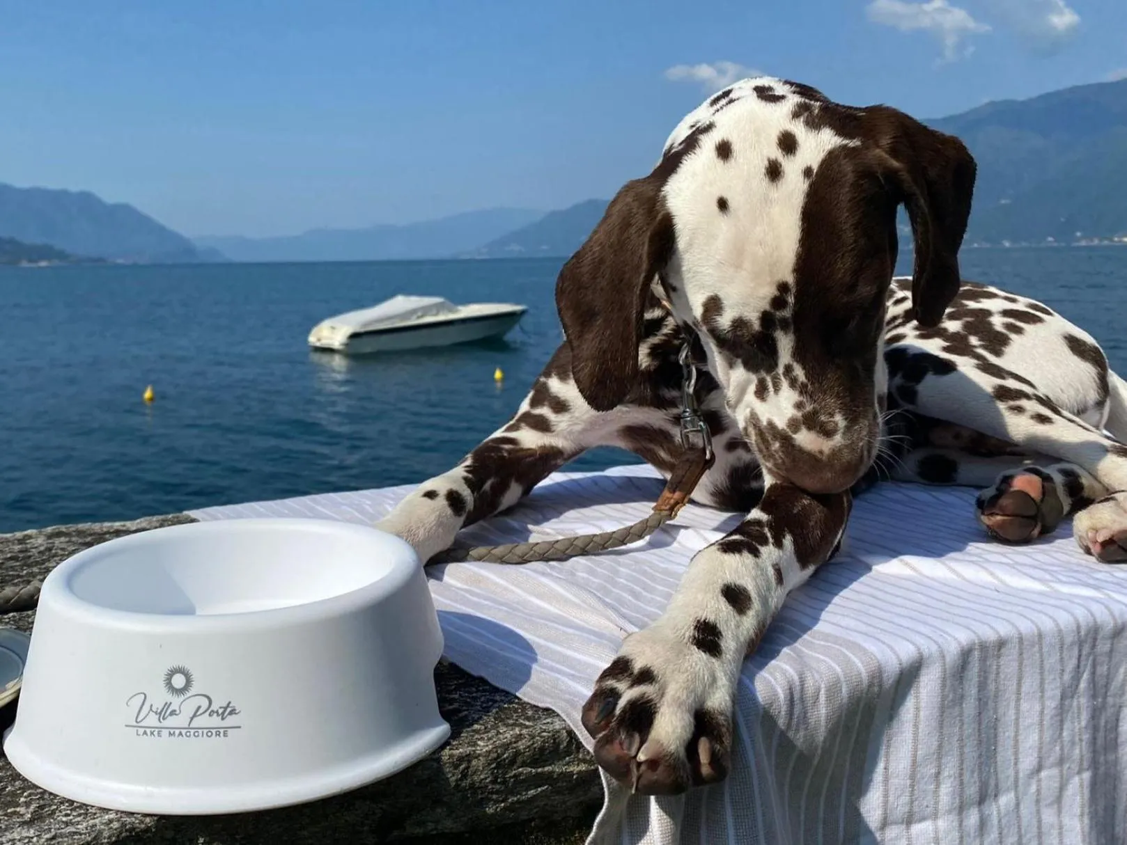 Animals in Relais Villa Porta