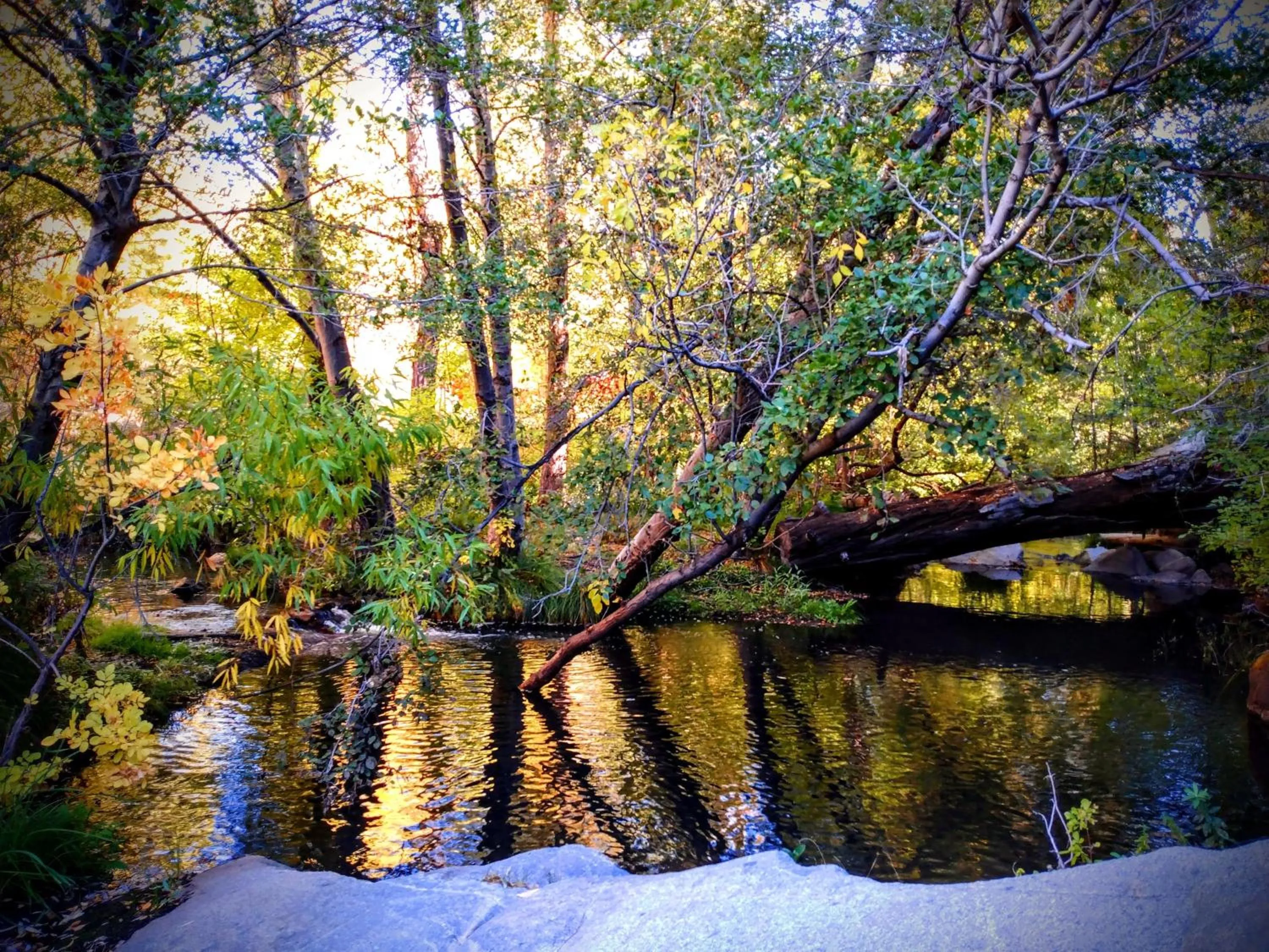 Spring in Quiet Mind Lodge, Spa & Retreat Sequoias