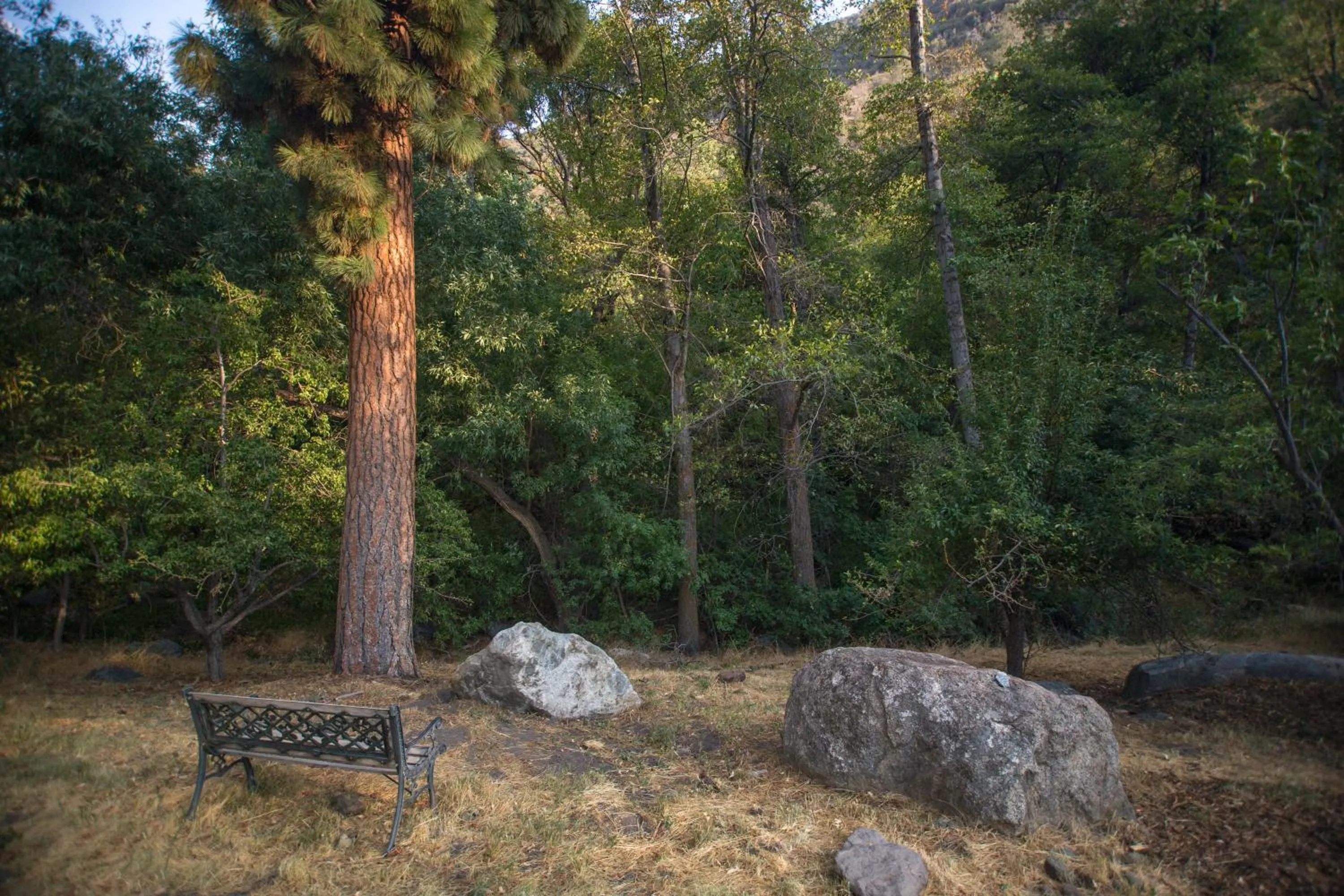 Quiet Mind Lodge, Spa & Retreat Sequoias