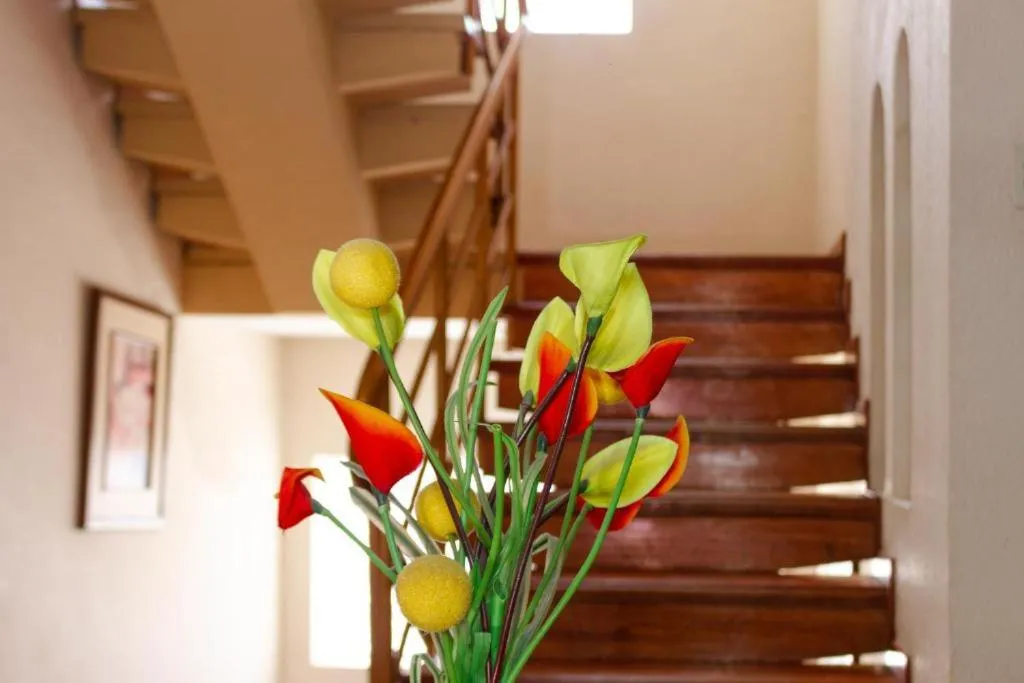 View (from property/room) in Astorga Hotel Arequipa