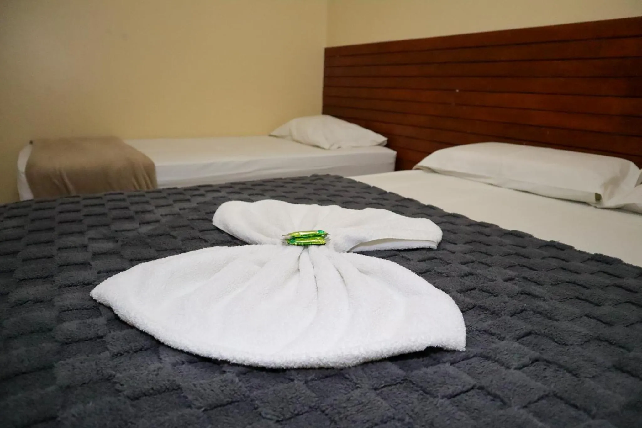 Bed in Diamantina Palace Hotel