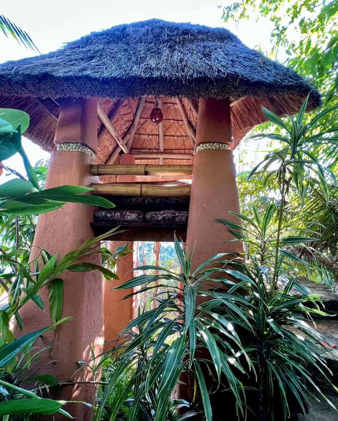 Garden in Timamoon Lodge