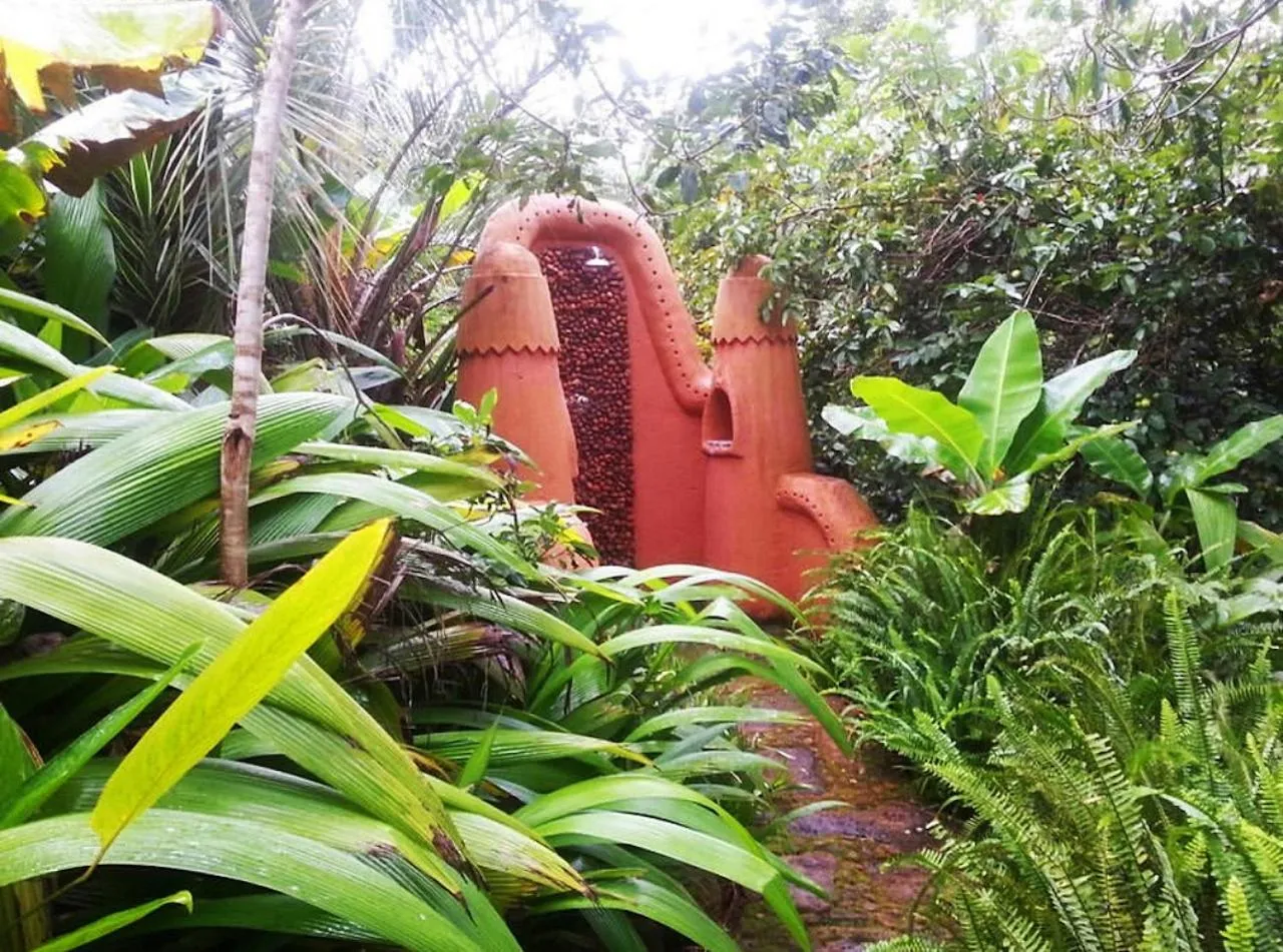 Garden in Timamoon Lodge