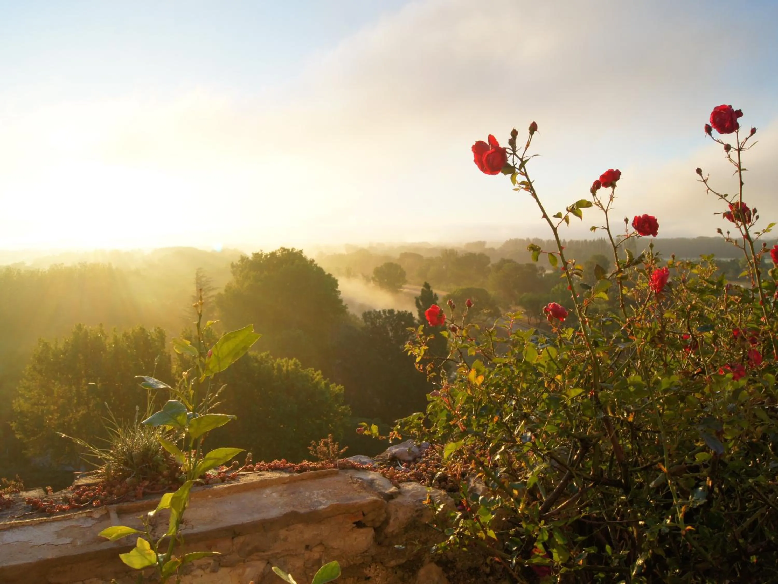 Property building in Maison Orsini